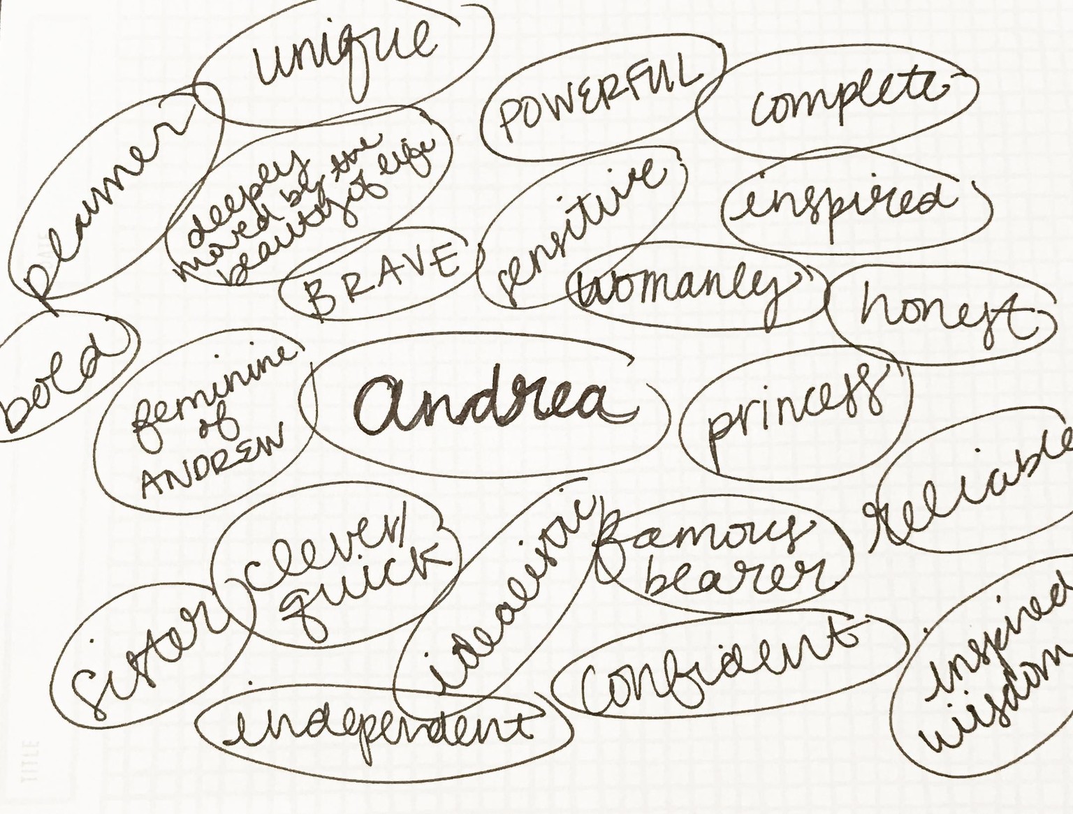 Andrea - image 1 - student project