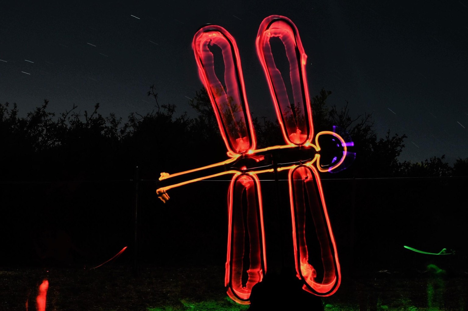Dragon Fly - image 1 - student project
