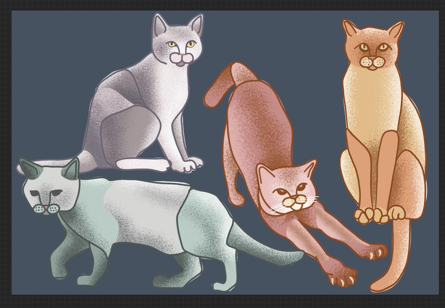 Shapes in Cats - image 4 - student project