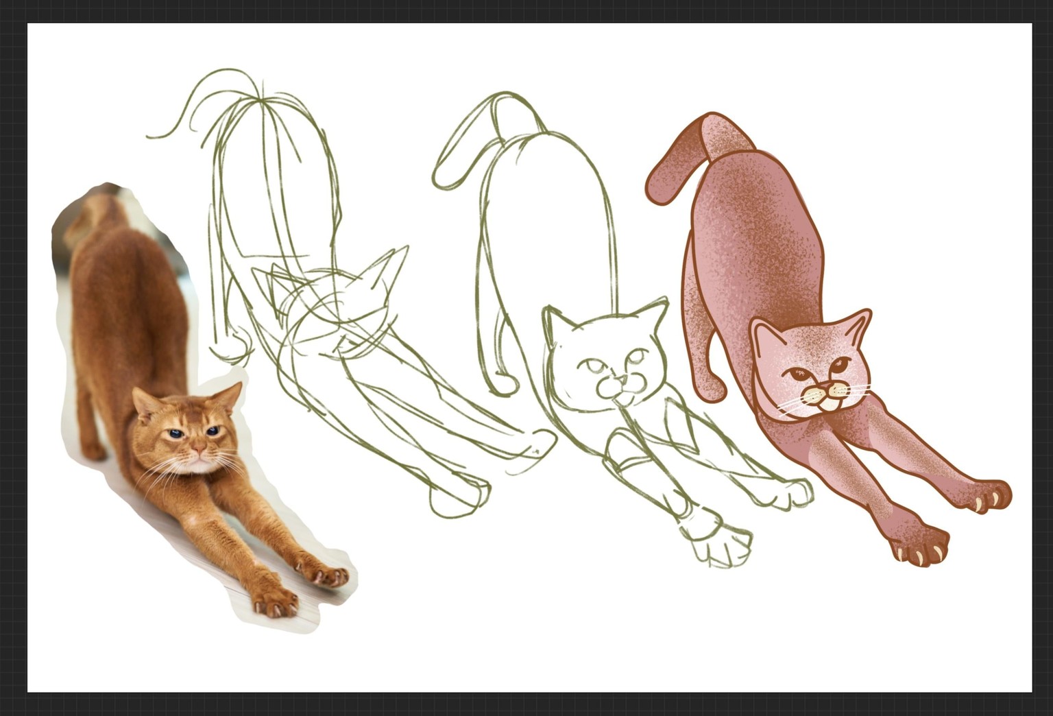 Shapes in Cats - image 1 - student project