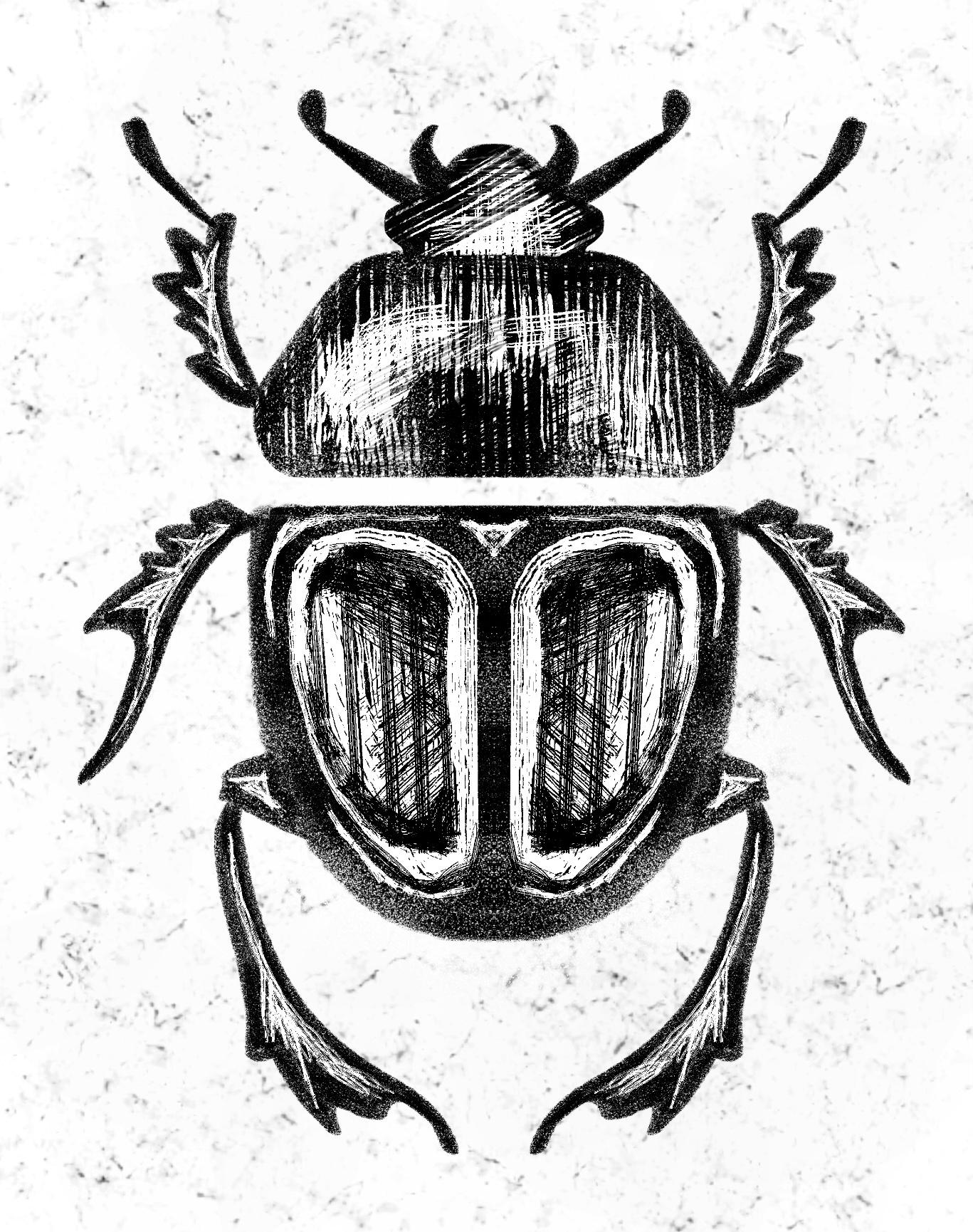 Bugs - image 2 - student project