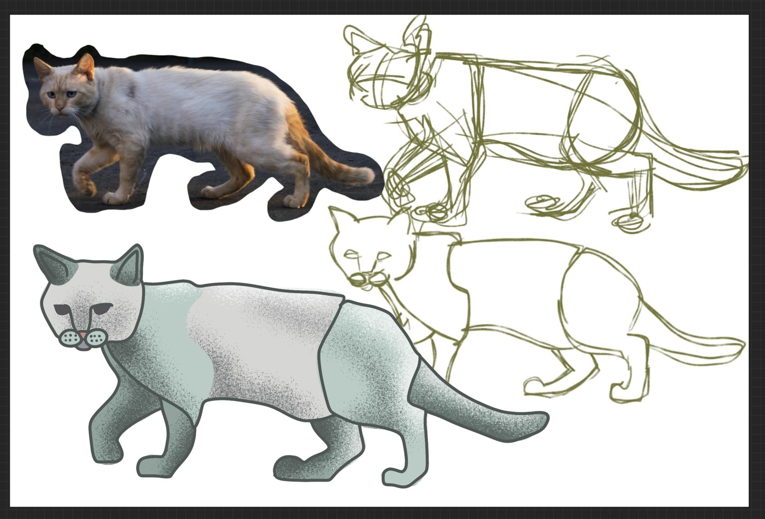 Shapes in Cats - image 3 - student project