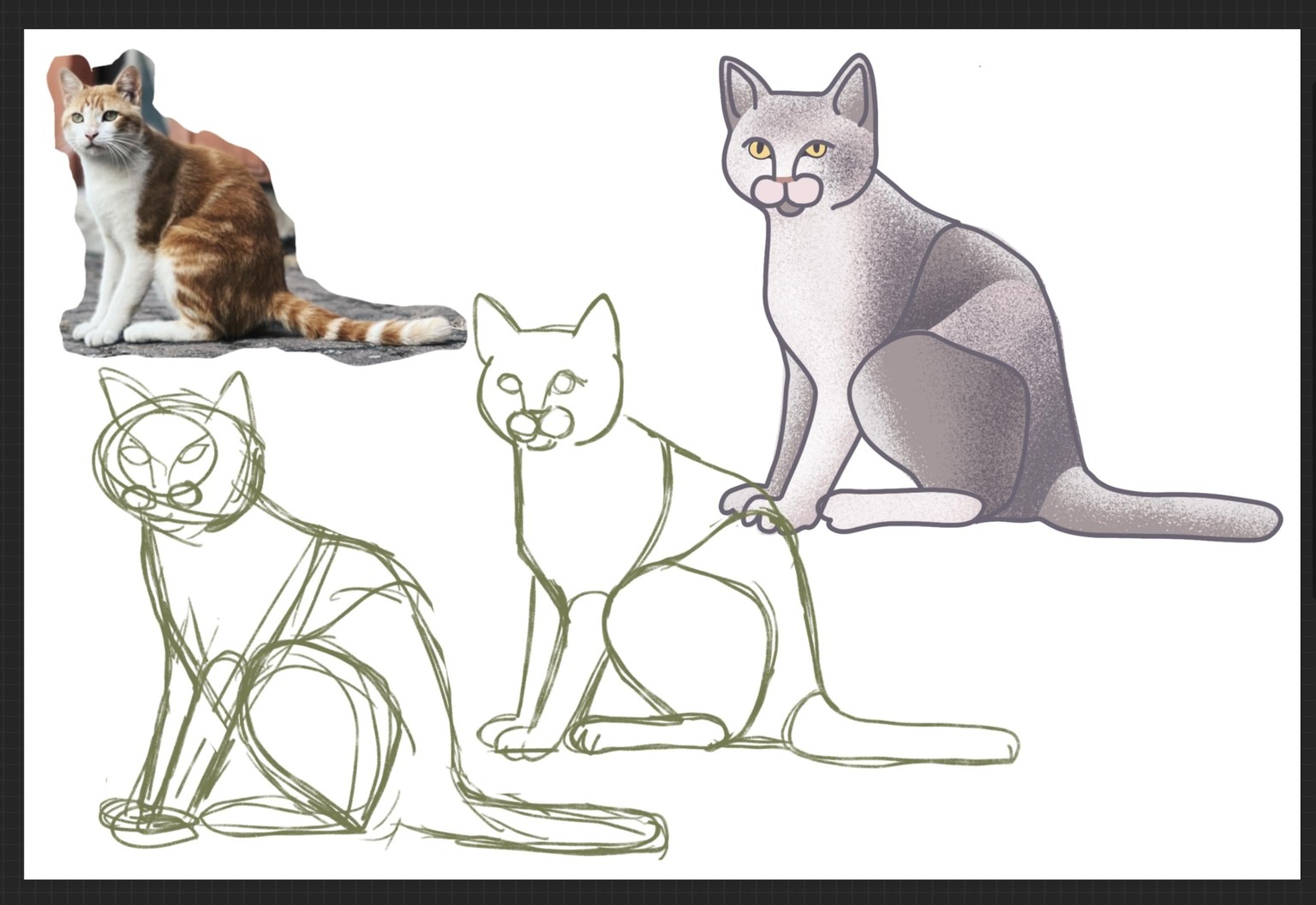 Shapes in Cats - image 2 - student project