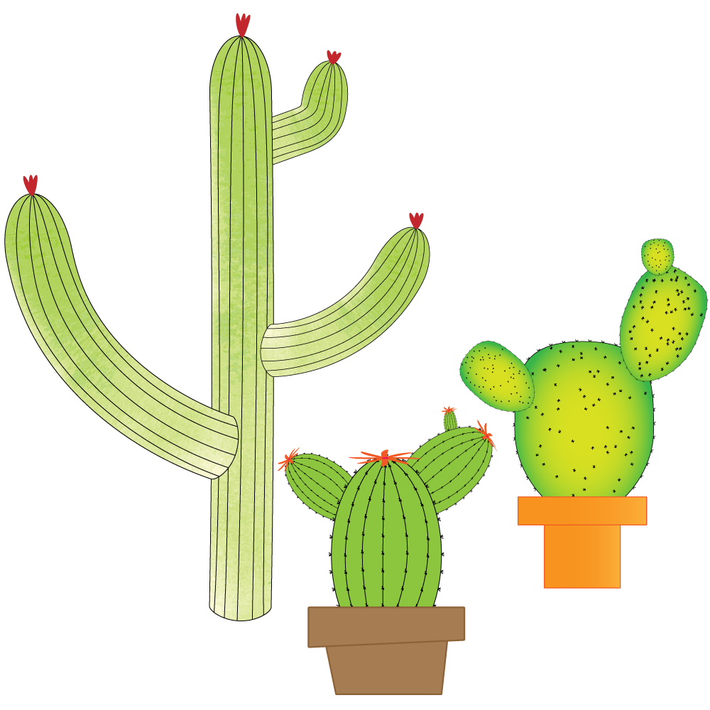 Cactus Fun - image 1 - student project