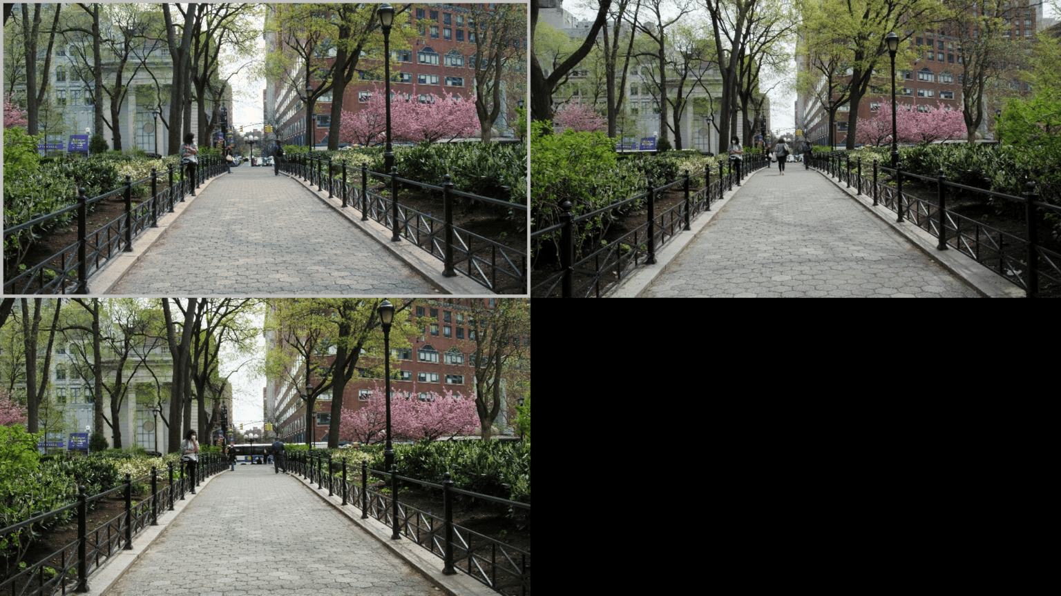 exercise - image 1 - student project