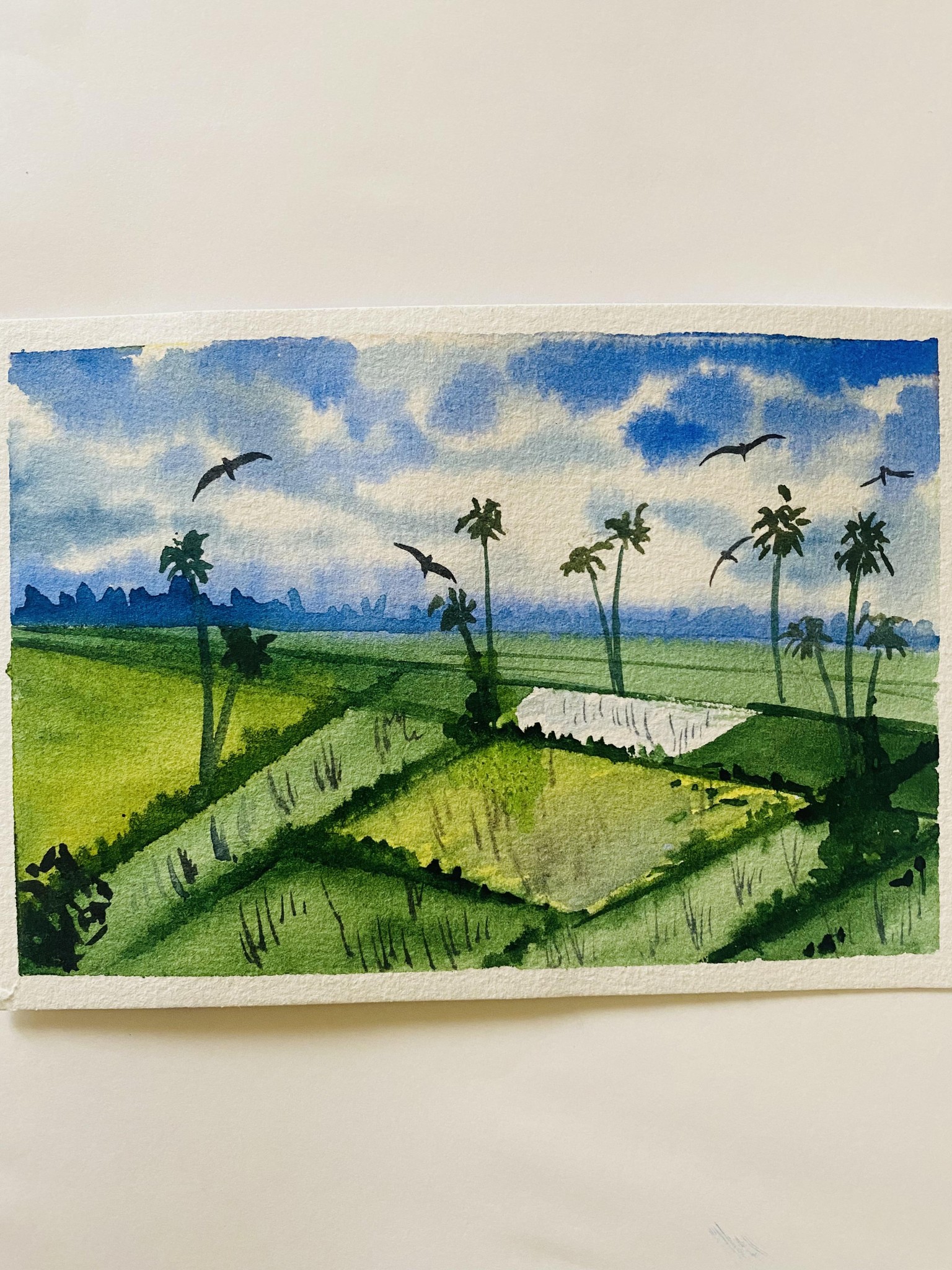 Paddy fields - image 3 - student project