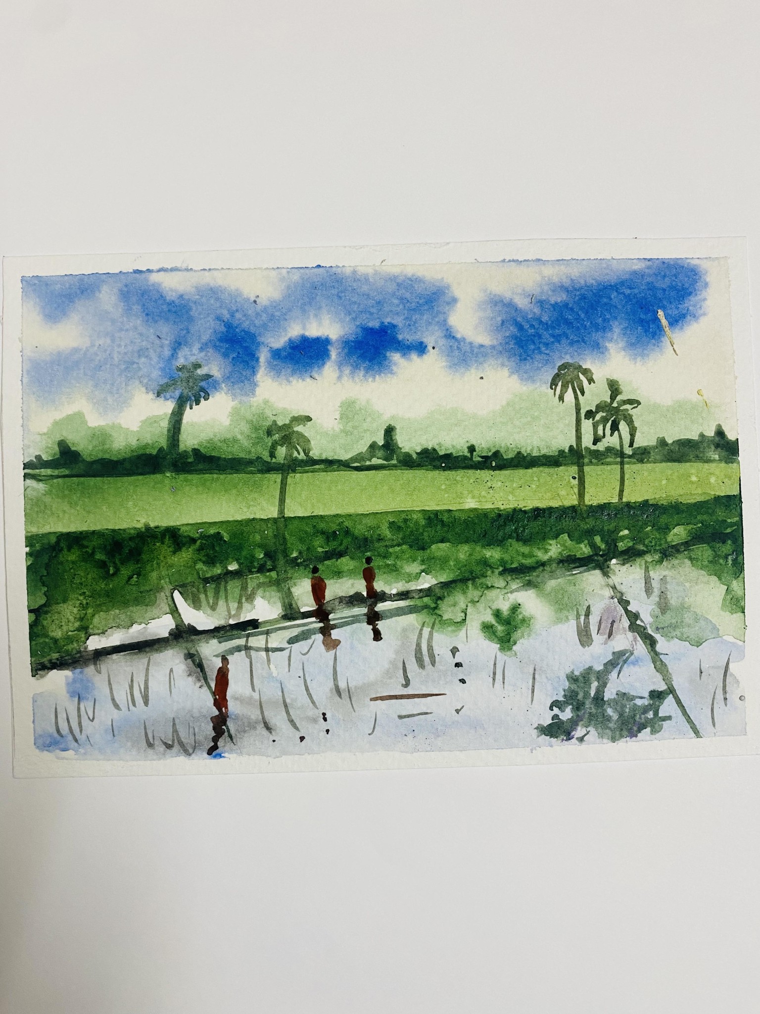 Paddy fields - image 1 - student project
