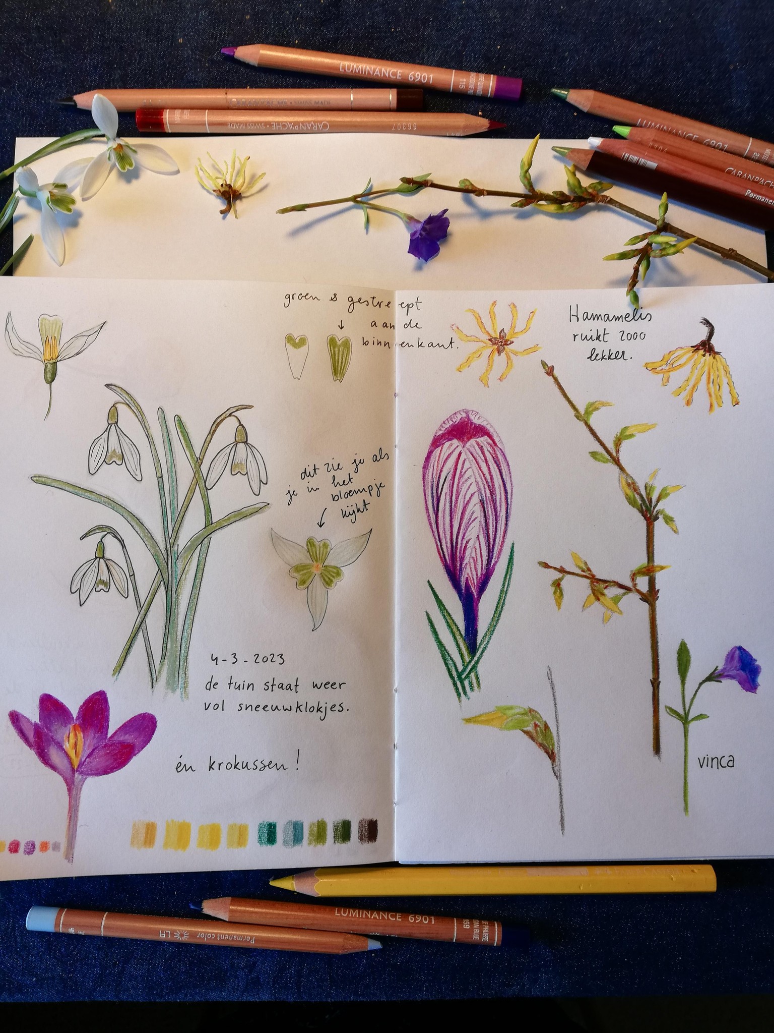 Spring has sprung - image 1 - student project