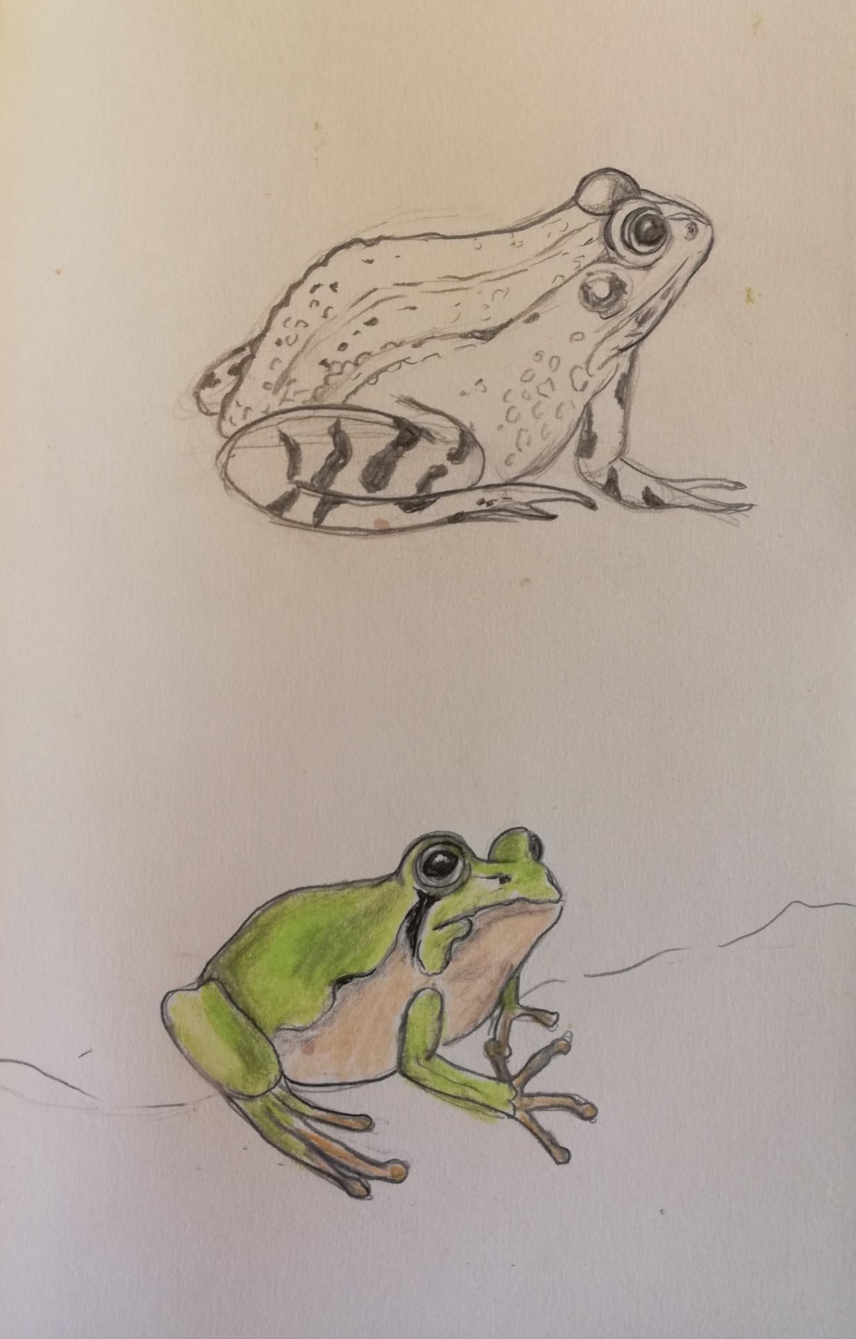 work in progress! - image 3 - student project