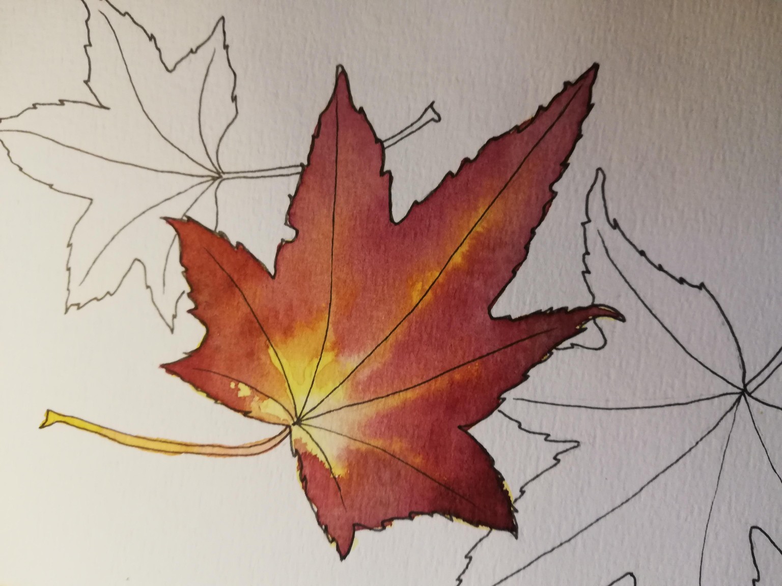 Autumn sketchbook - image 2 - student project