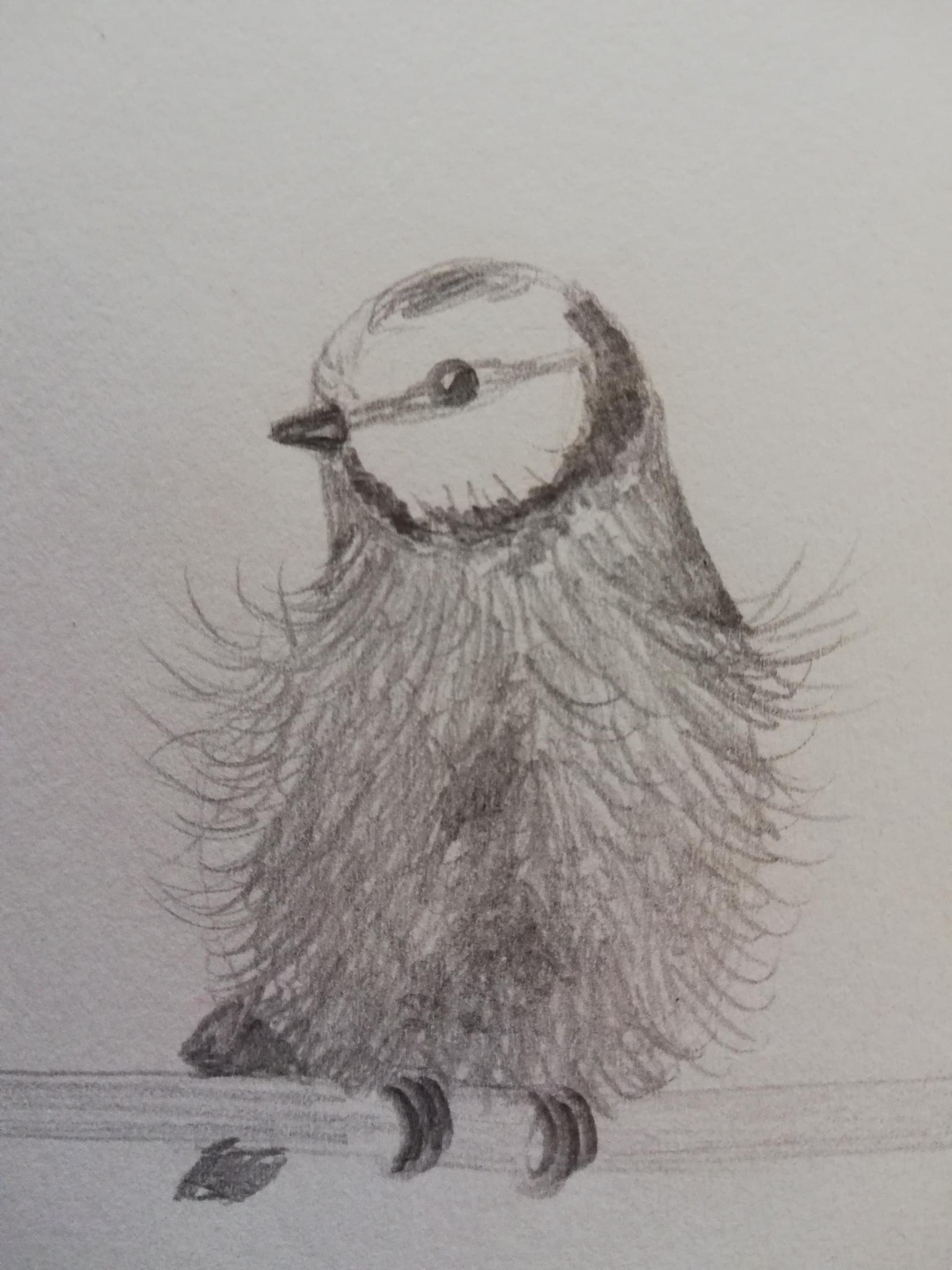 work in progress! - image 1 - student project