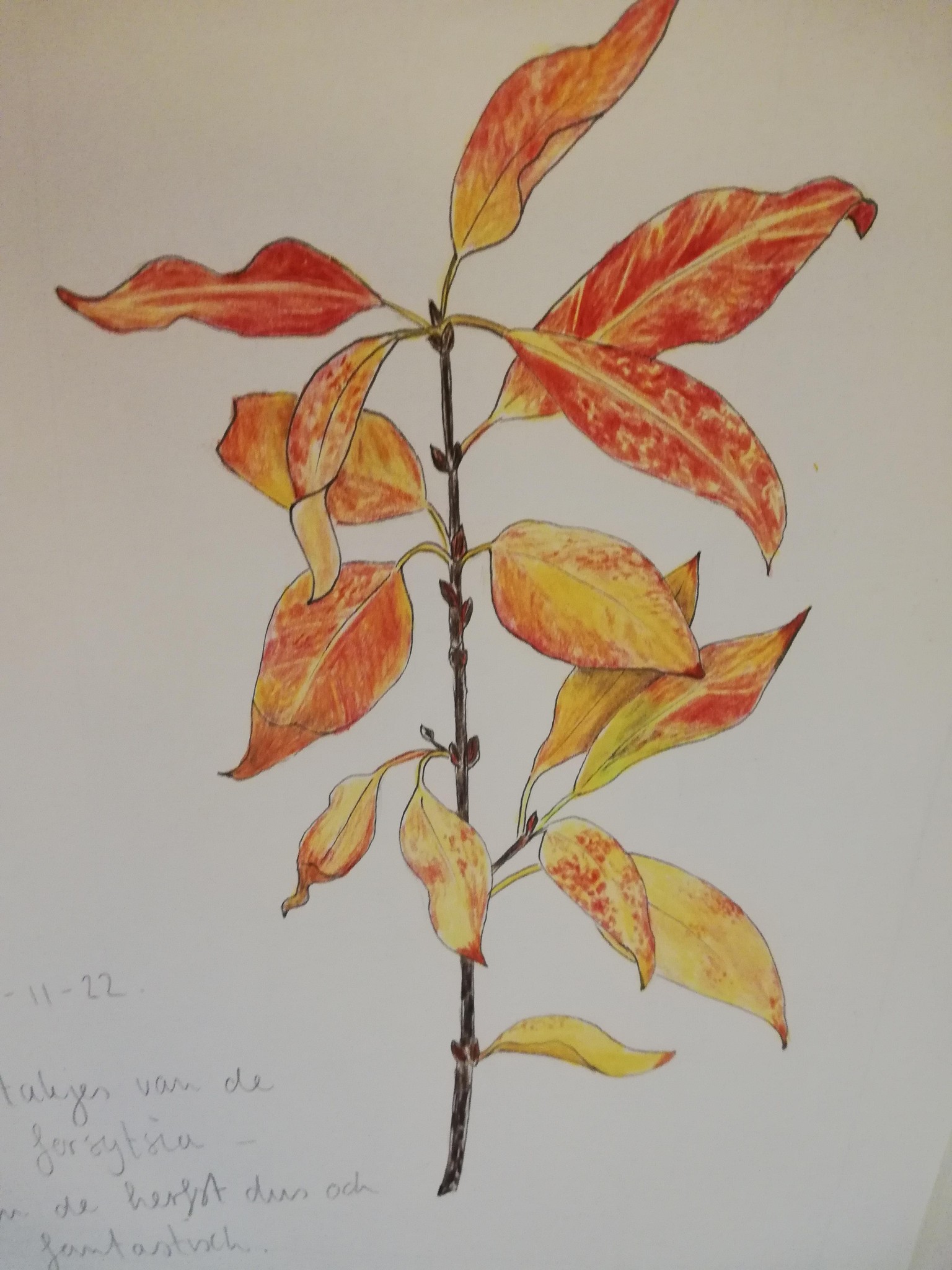 work in progress! - image 2 - student project