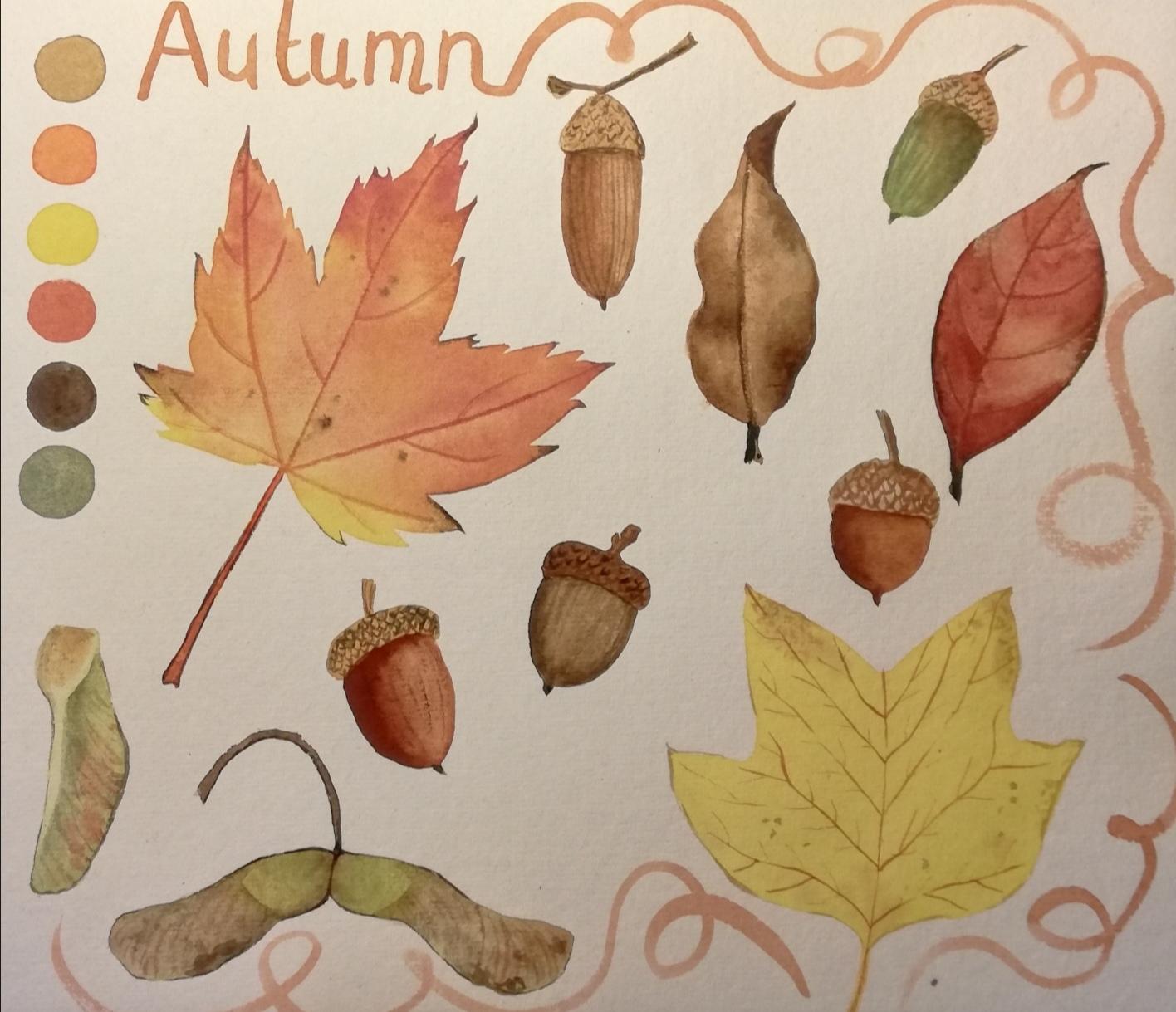 Autumn sketchbook - image 1 - student project