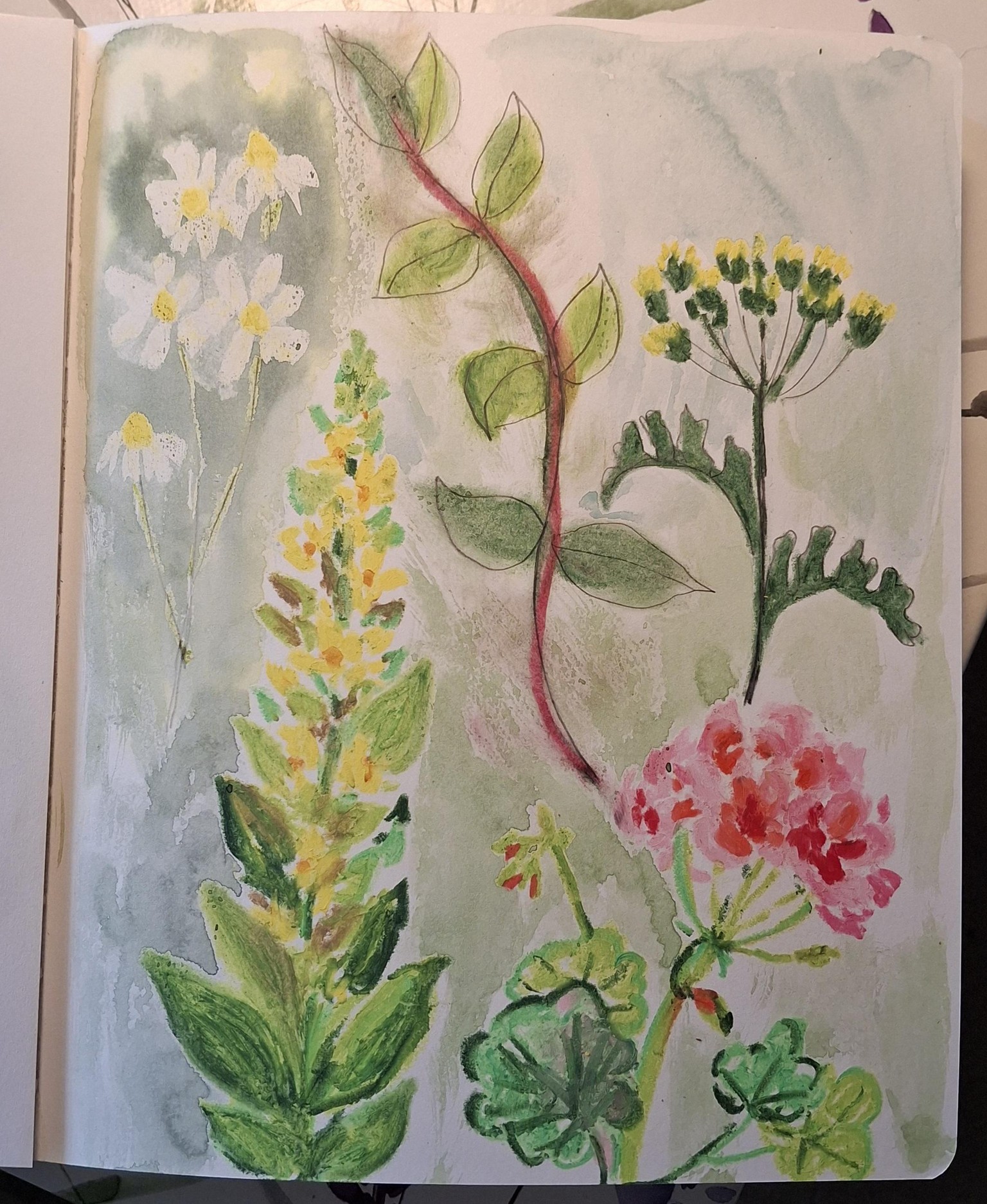 Experiments with oil pastels - image 5 - student project