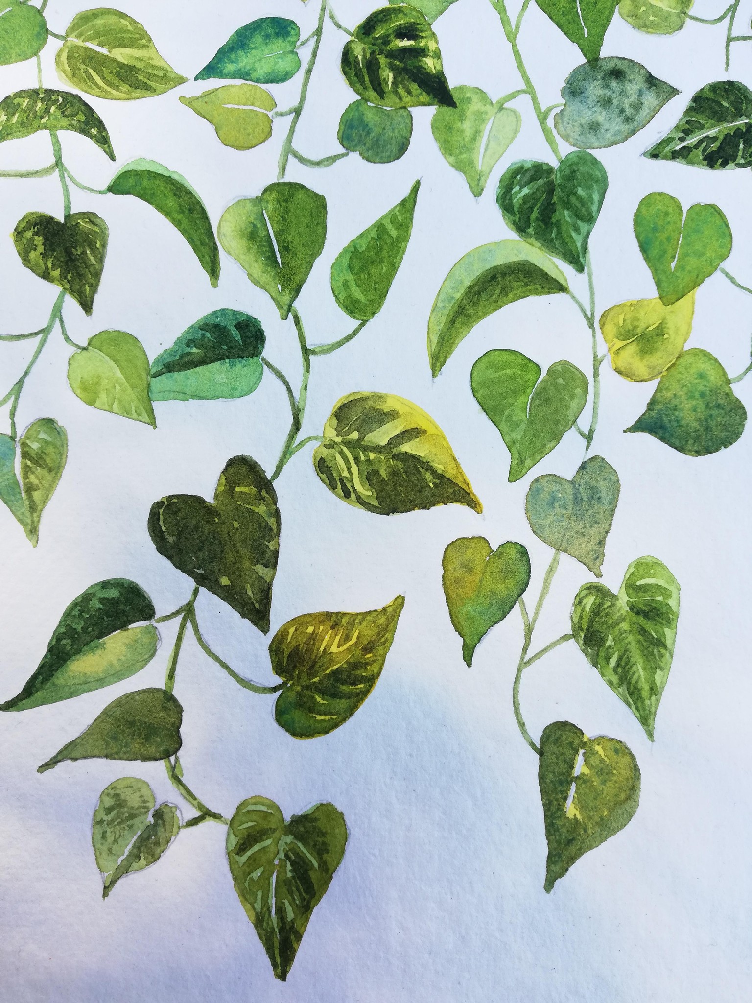 Playing with greens - image 1 - student project