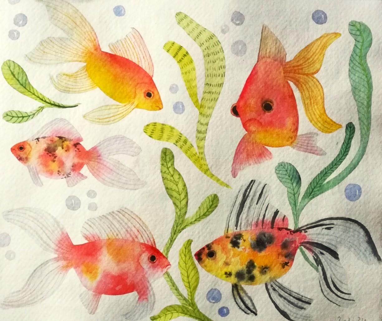 Goldfish - image 1 - student project