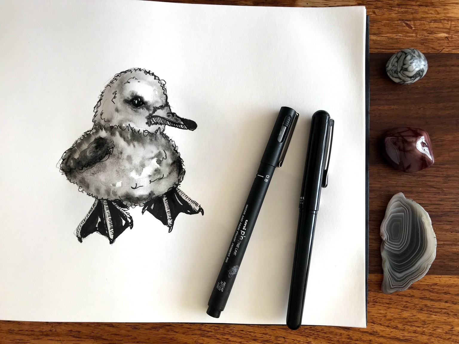 Getting creative with pen and ink <3 - image 1 - student project
