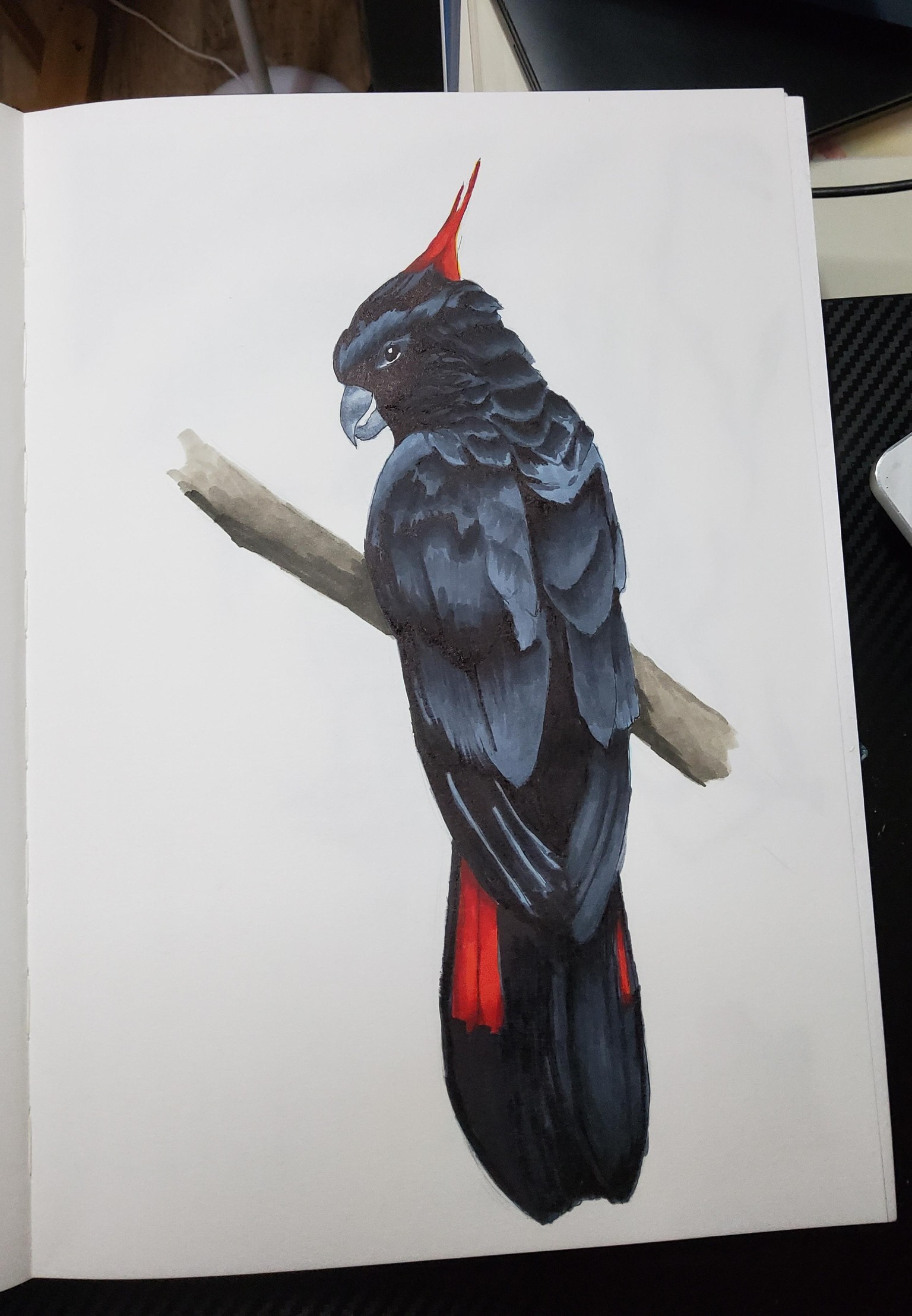 Colour Layering: Markers - image 3 - student project