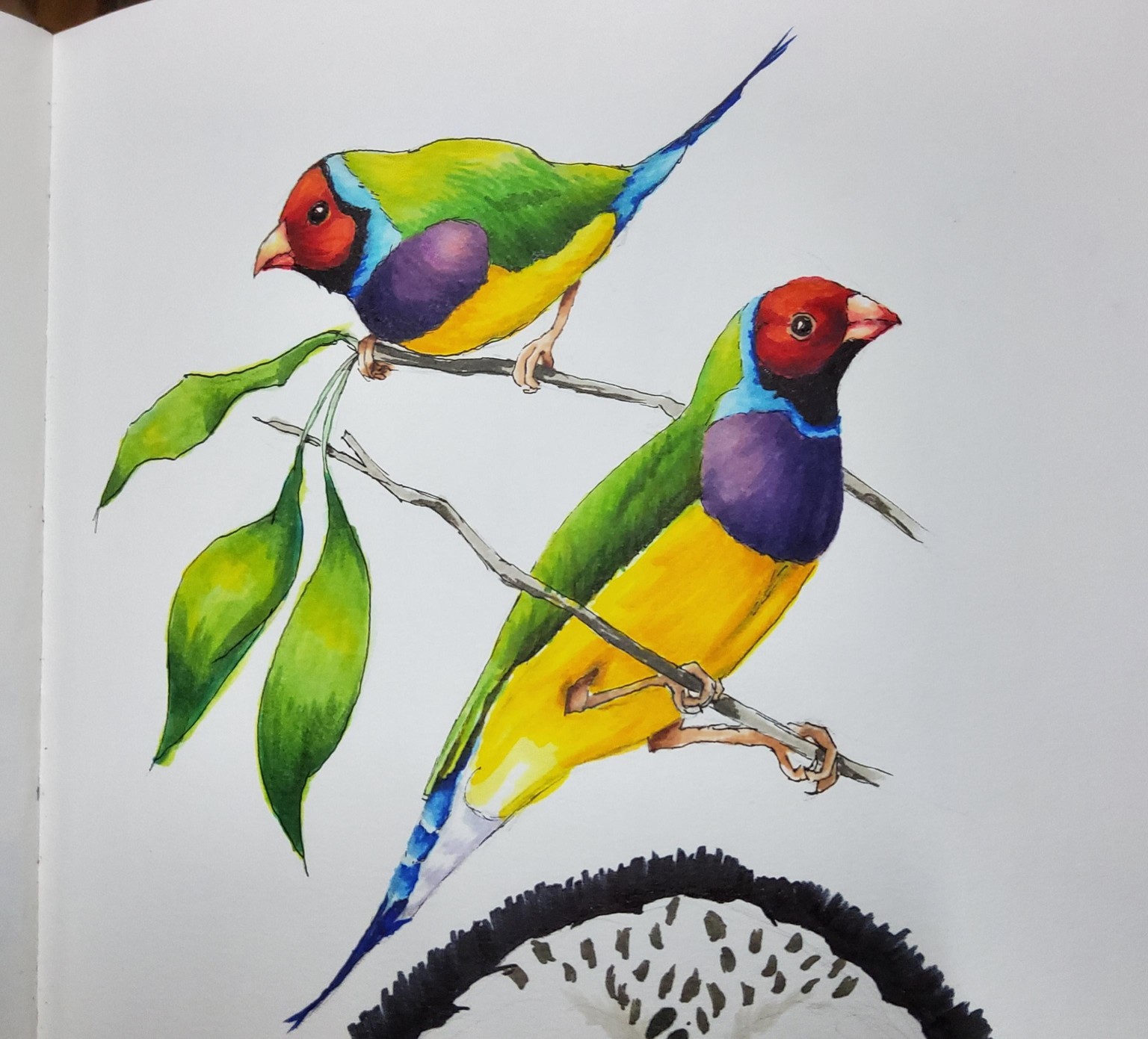 Colour Layering: Markers - image 1 - student project