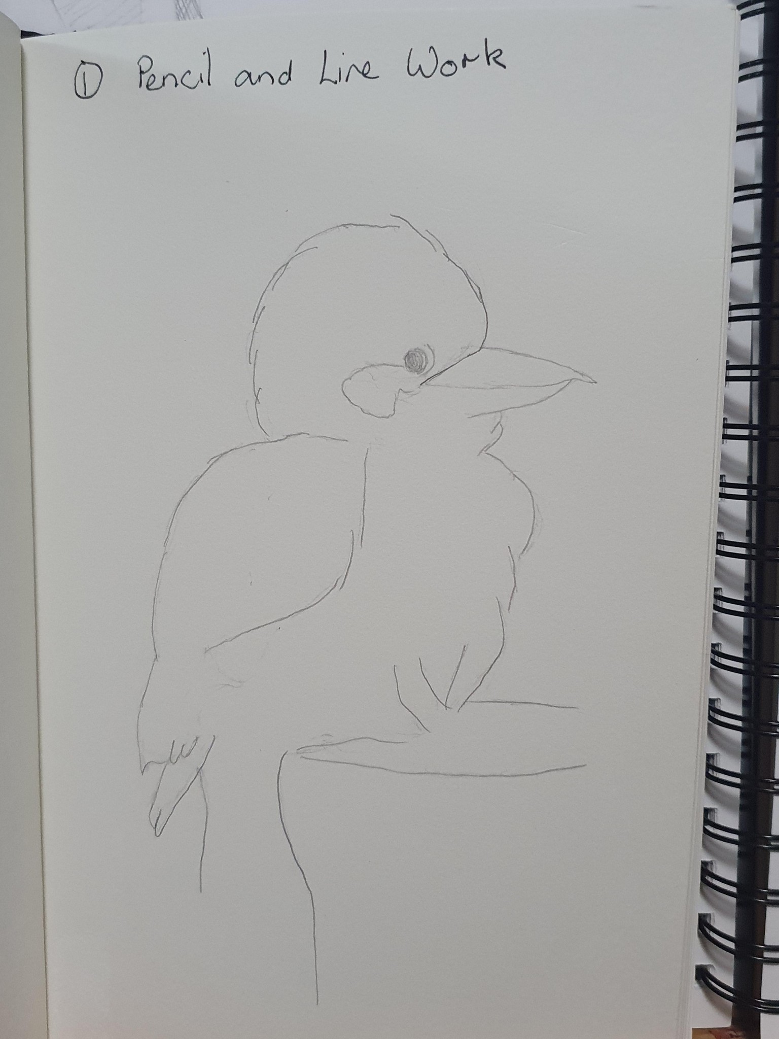 Kay Kookaburra - image 1 - student project