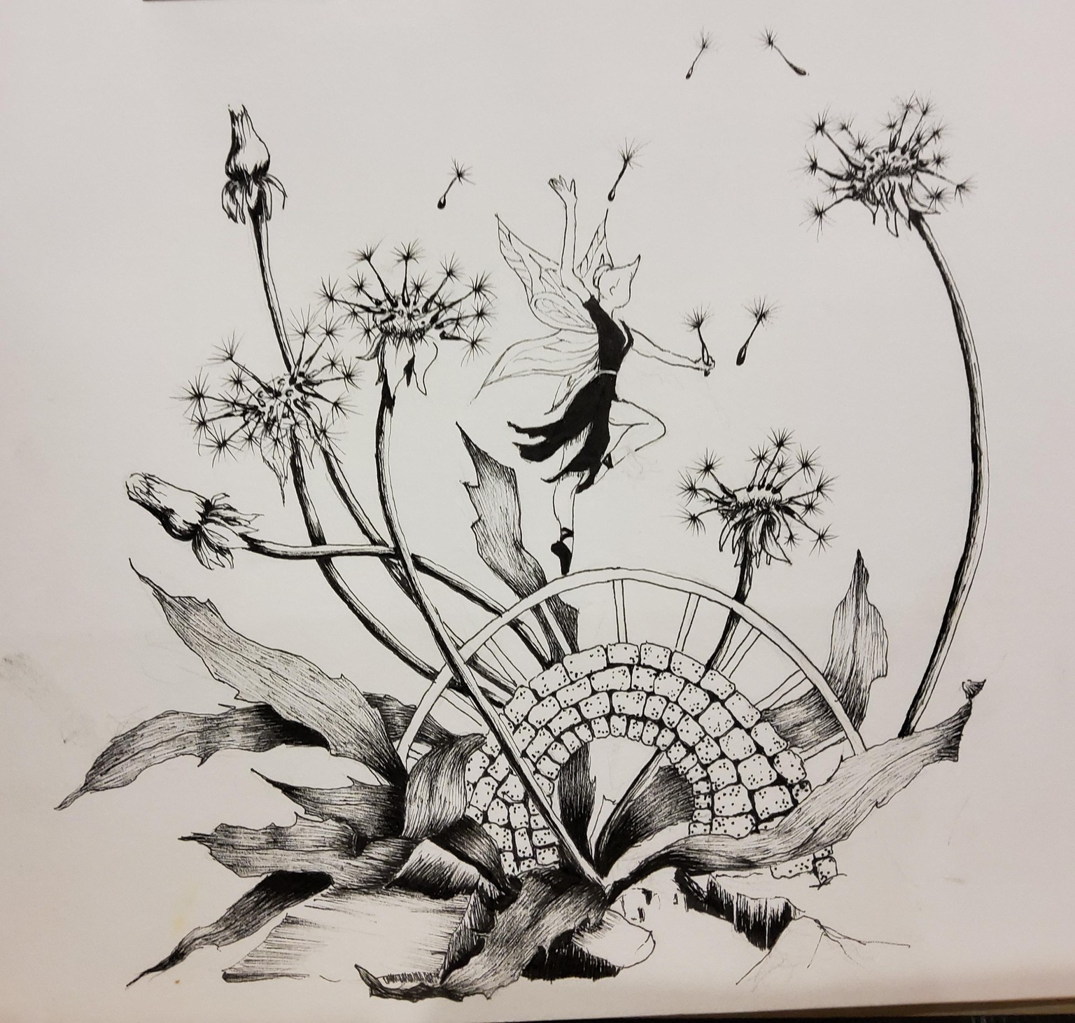 Illustrations ink fairy tale - image 3 - student project