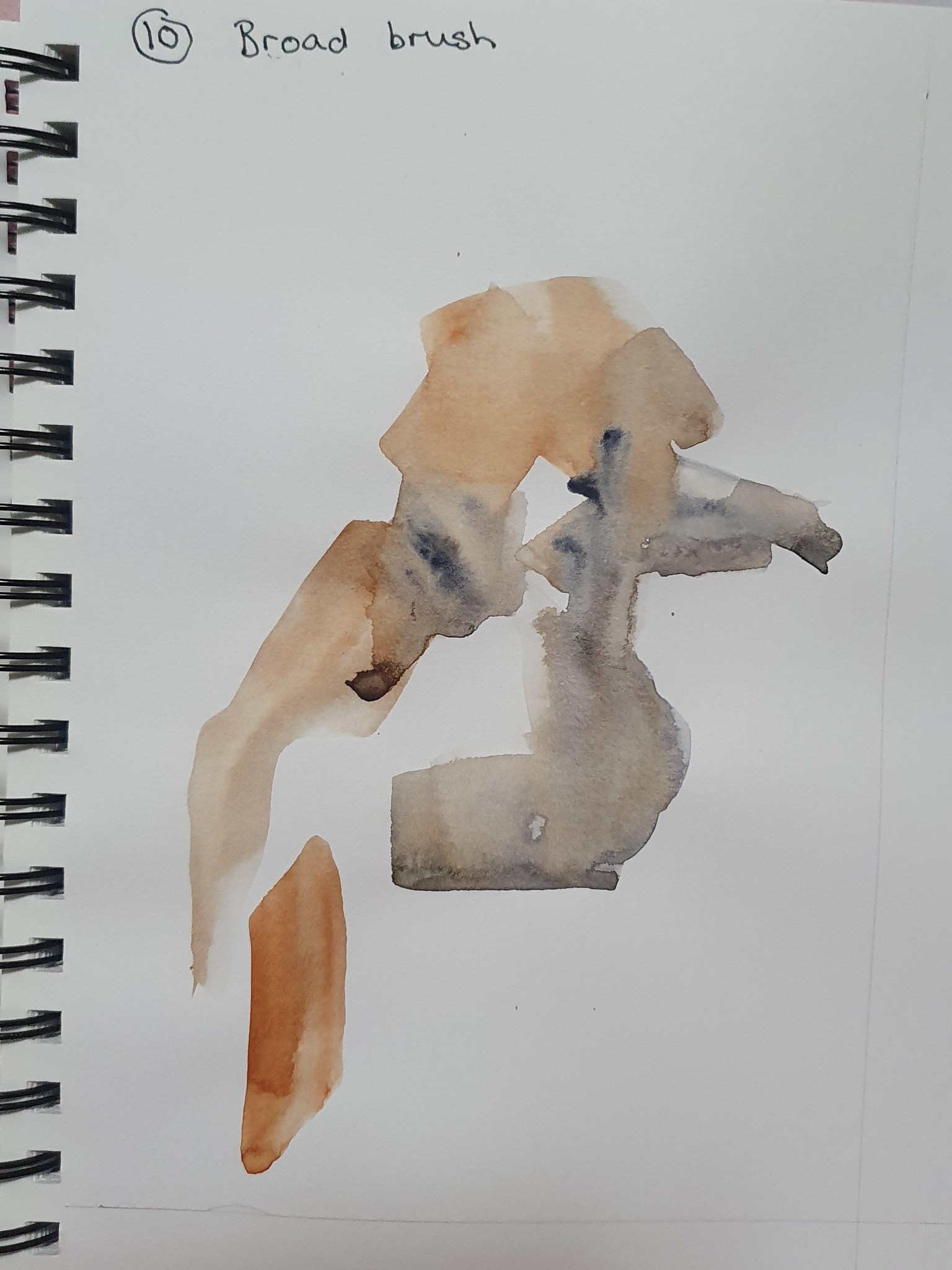 Kay Kookaburra - image 10 - student project