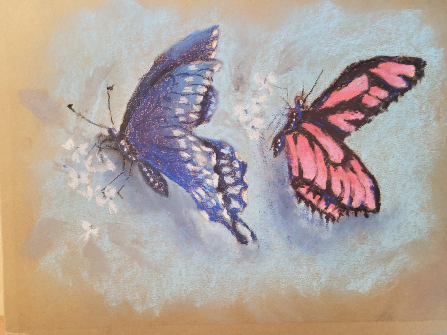 Kay Soft Pastel Butterflies - image 1 - student project