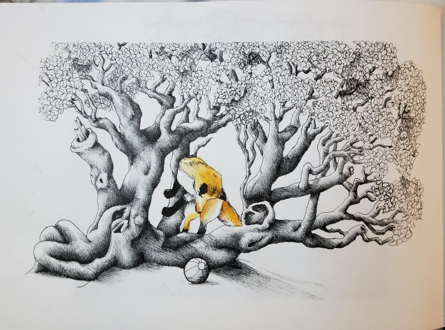 Illustrations ink fairy tale - image 2 - student project