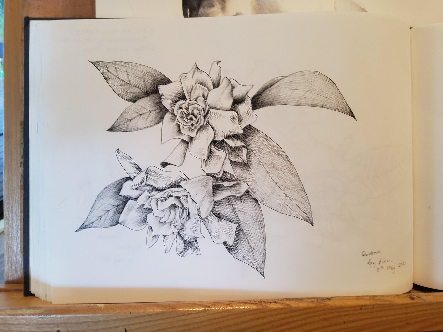Gardenias - line art - image 2 - student project