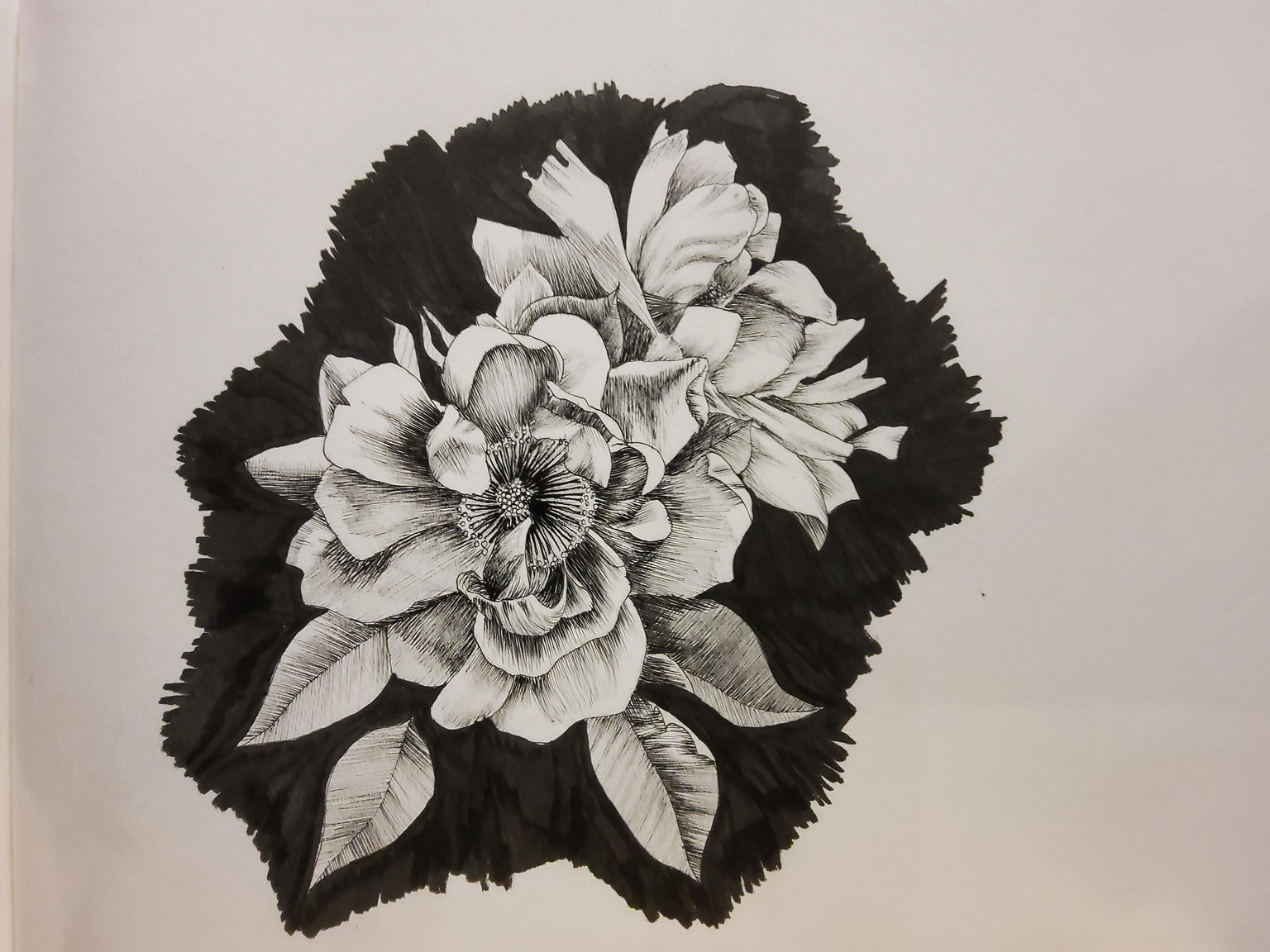 Gardenias - line art - image 3 - student project