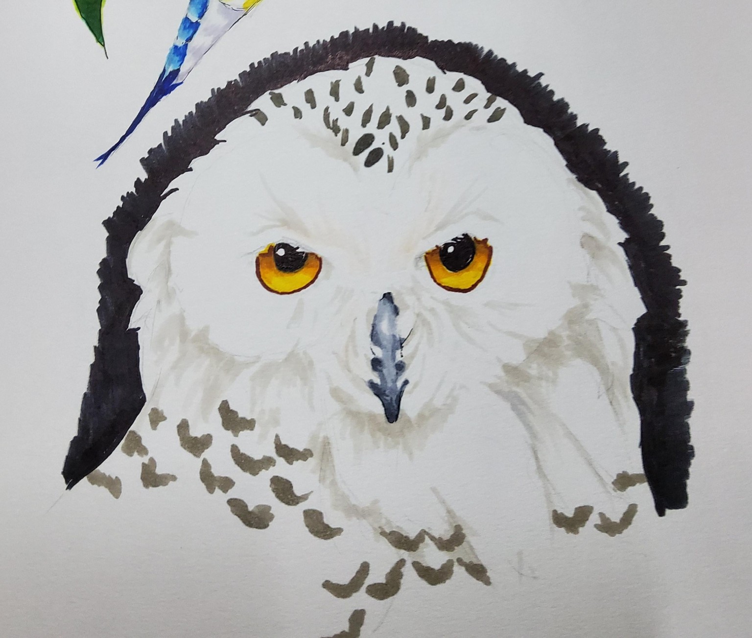 Colour Layering: Markers - image 2 - student project