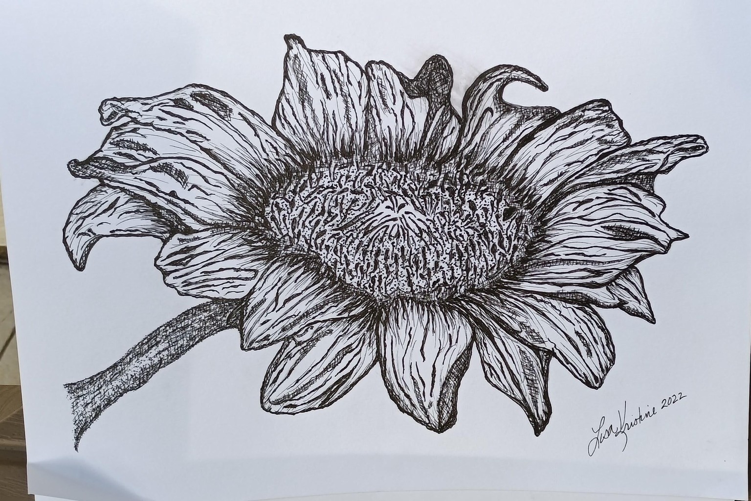 Botanical #2 hybrid stippling/cross hatching - image 1 - student project