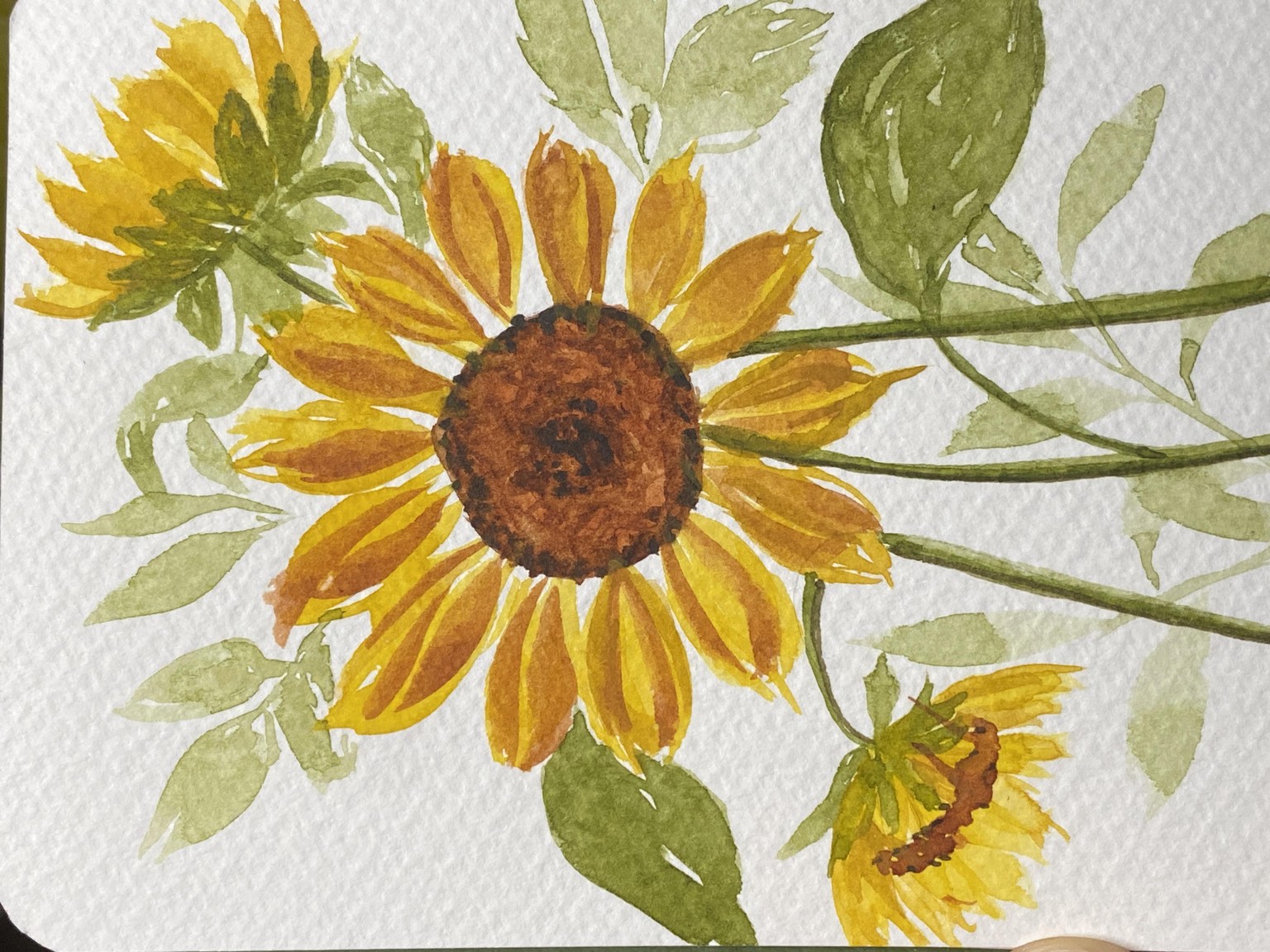Watercolor Sunflowers - image 1 - student project