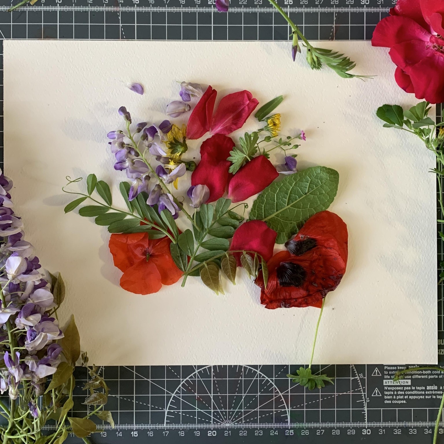 flower essences - image 2 - student project