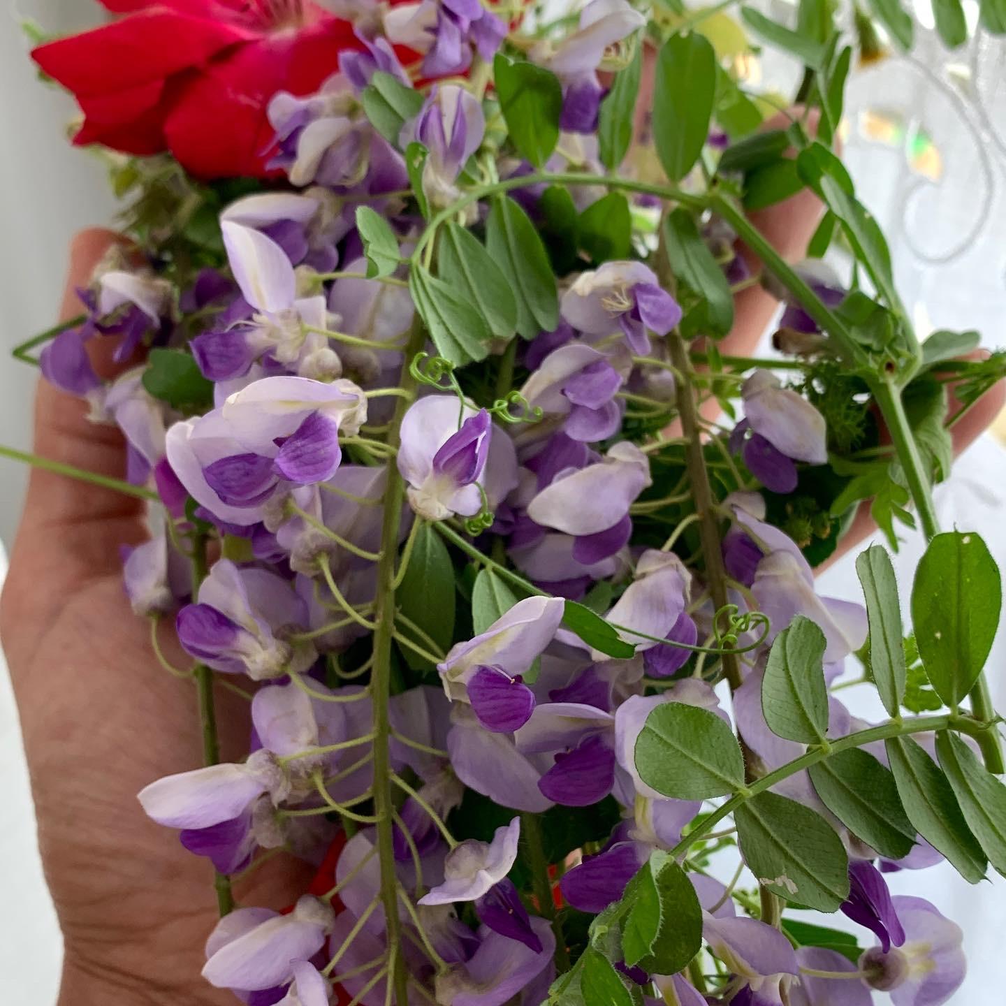 flower essences - image 1 - student project
