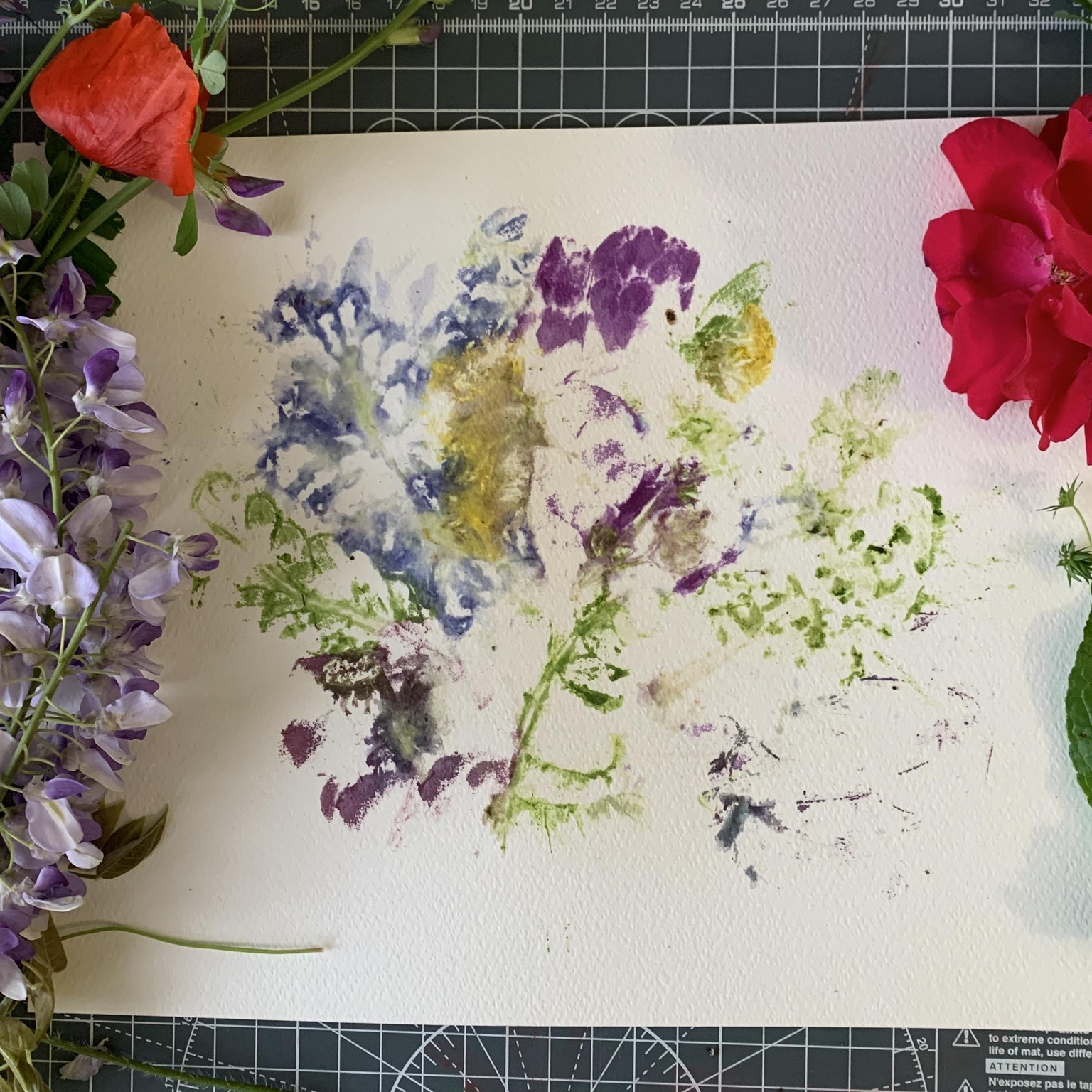 flower essences - image 3 - student project