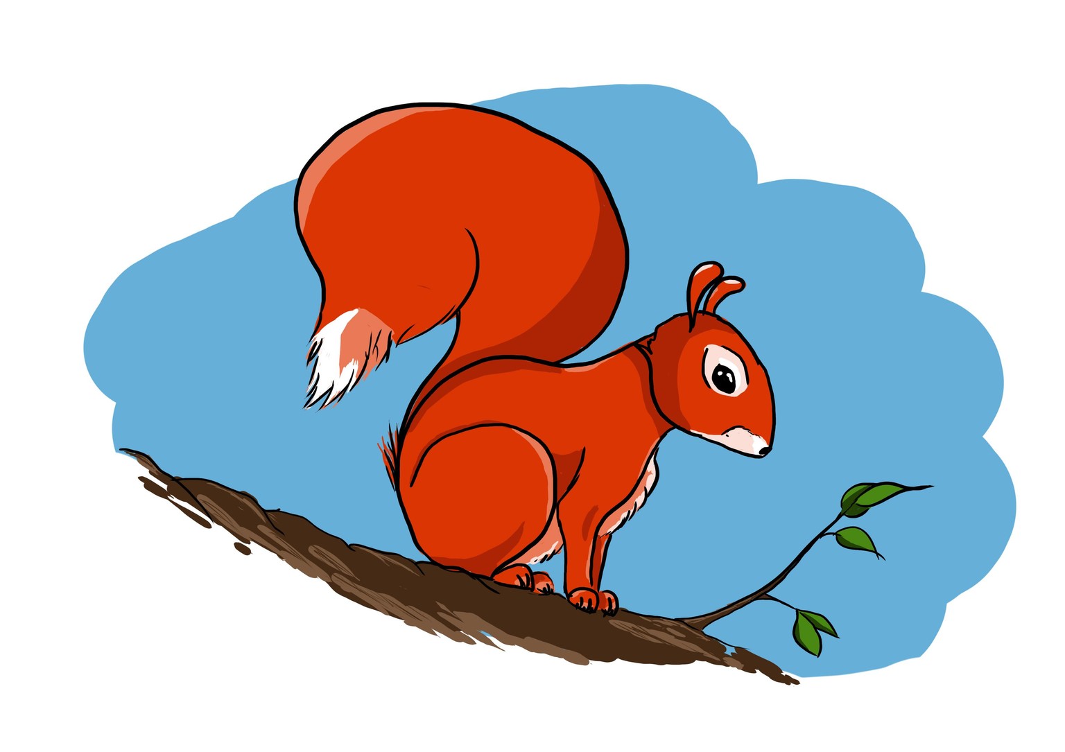 Squirrel on a tree - image 1 - student project