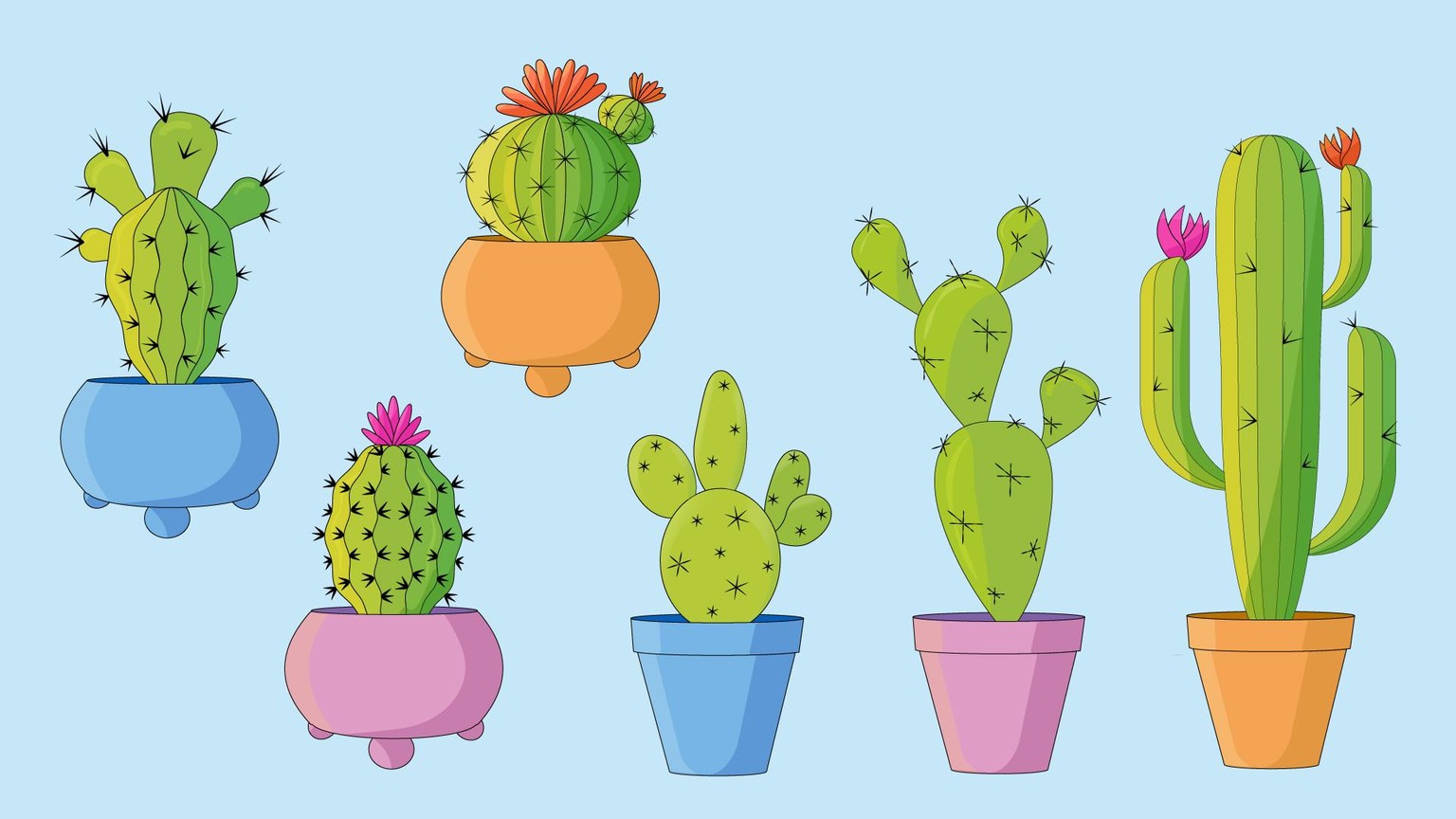 Vector cactus illustrations - image 1 - student project