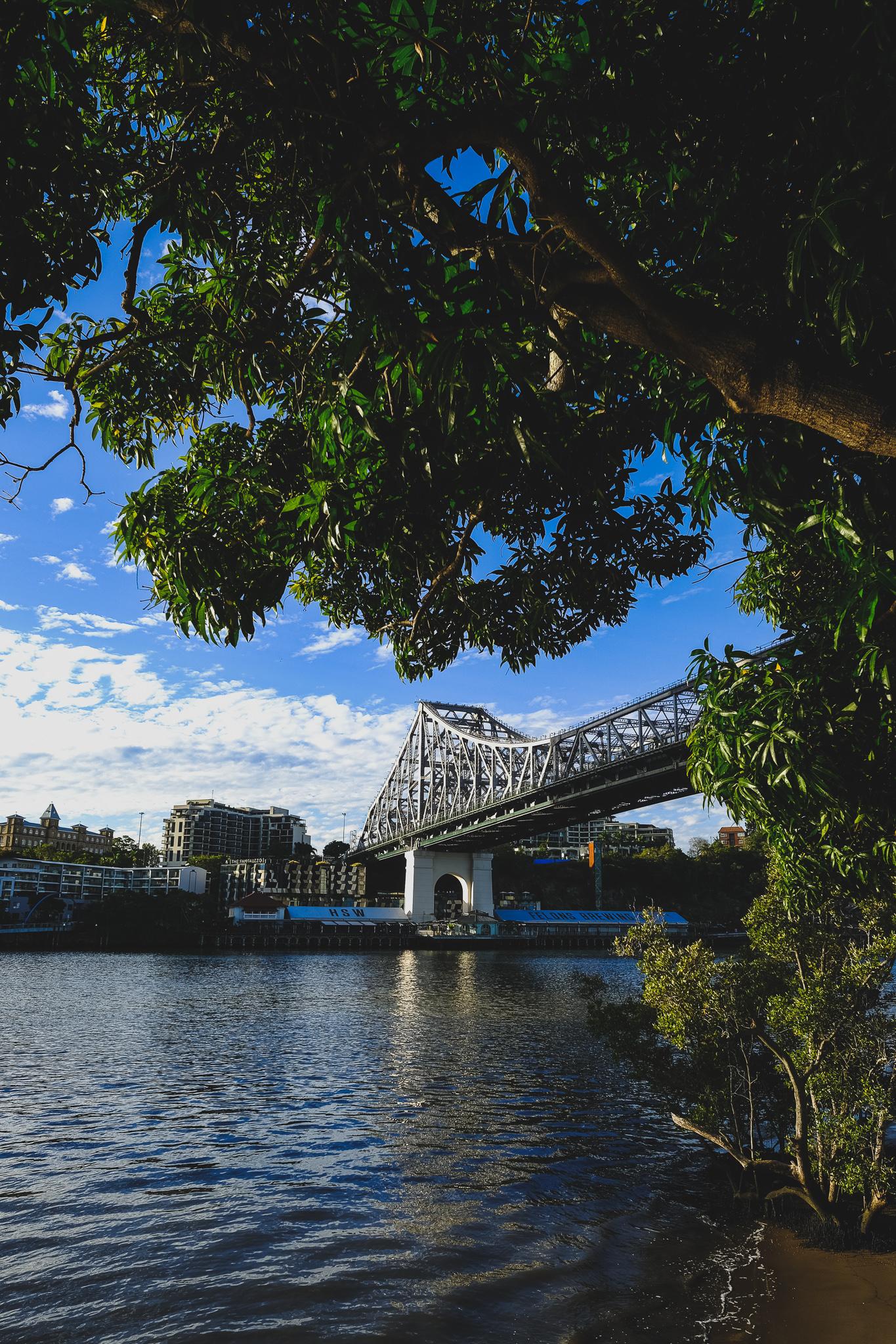 The Bridge - image 3 - student project