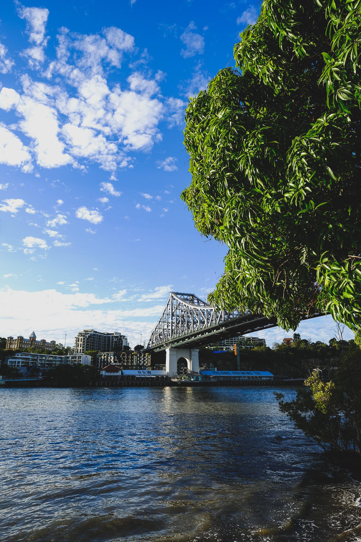The Bridge - image 7 - student project