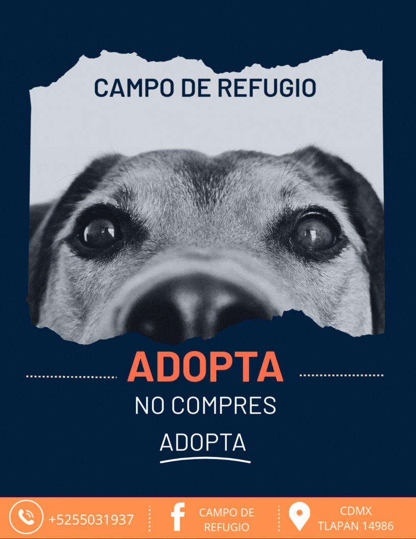 Mi proyecto - image 1 - student project