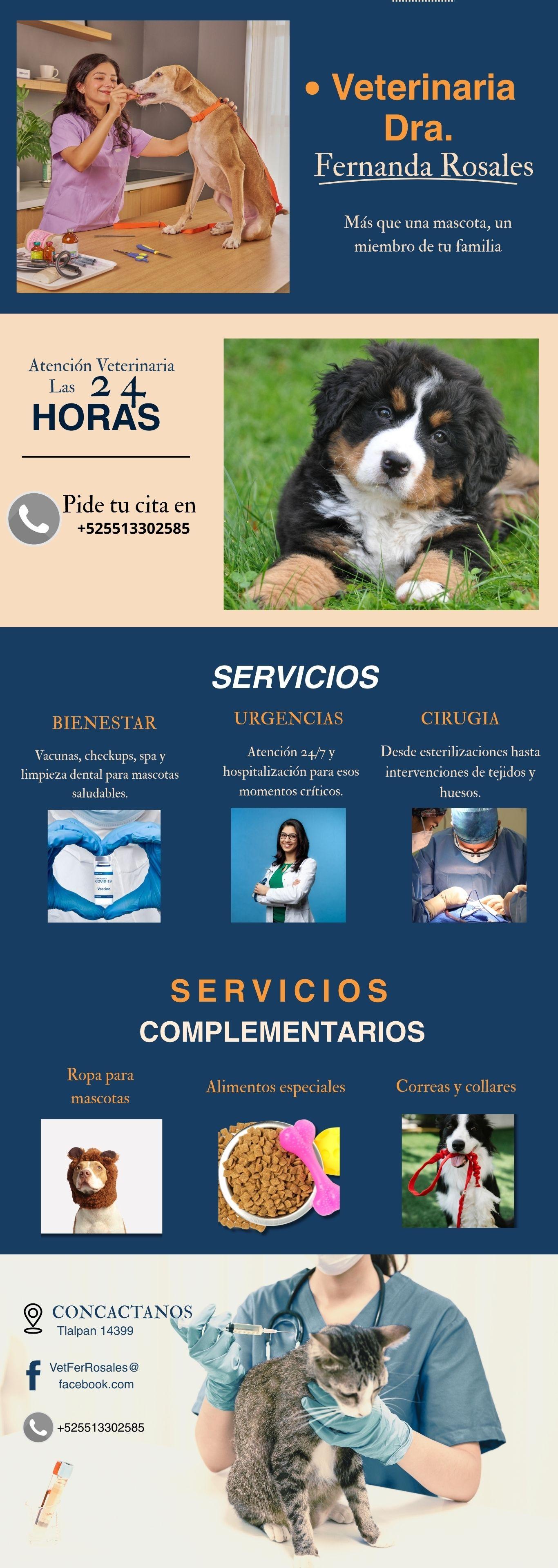 Mi proyecto - image 3 - student project