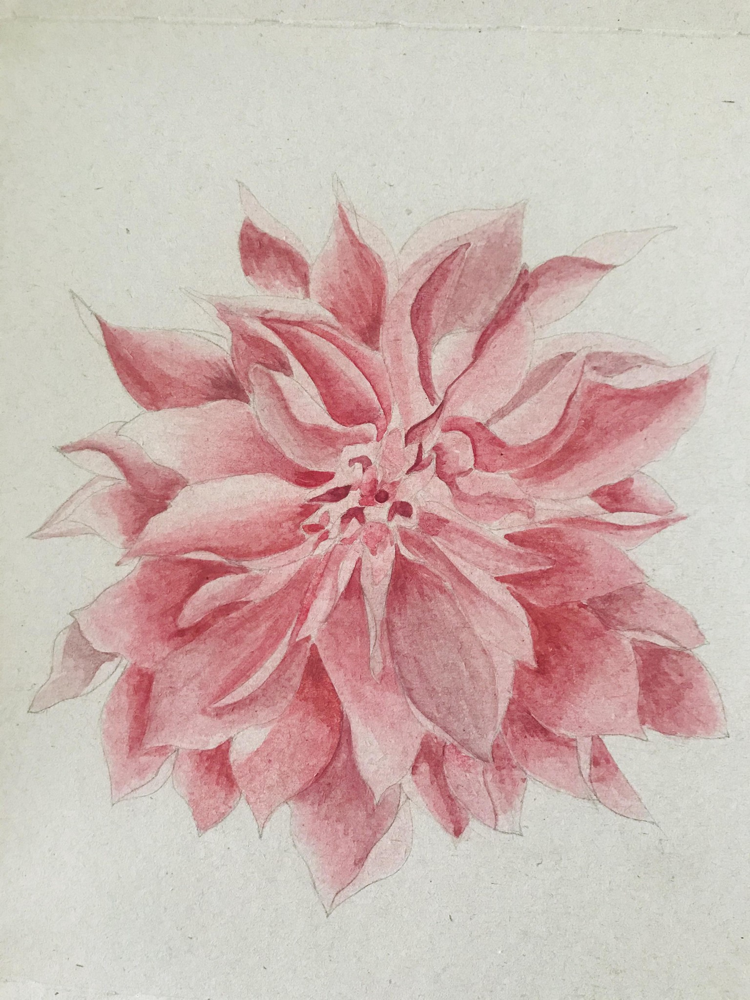 Watercolor Dahlia - image 1 - student project