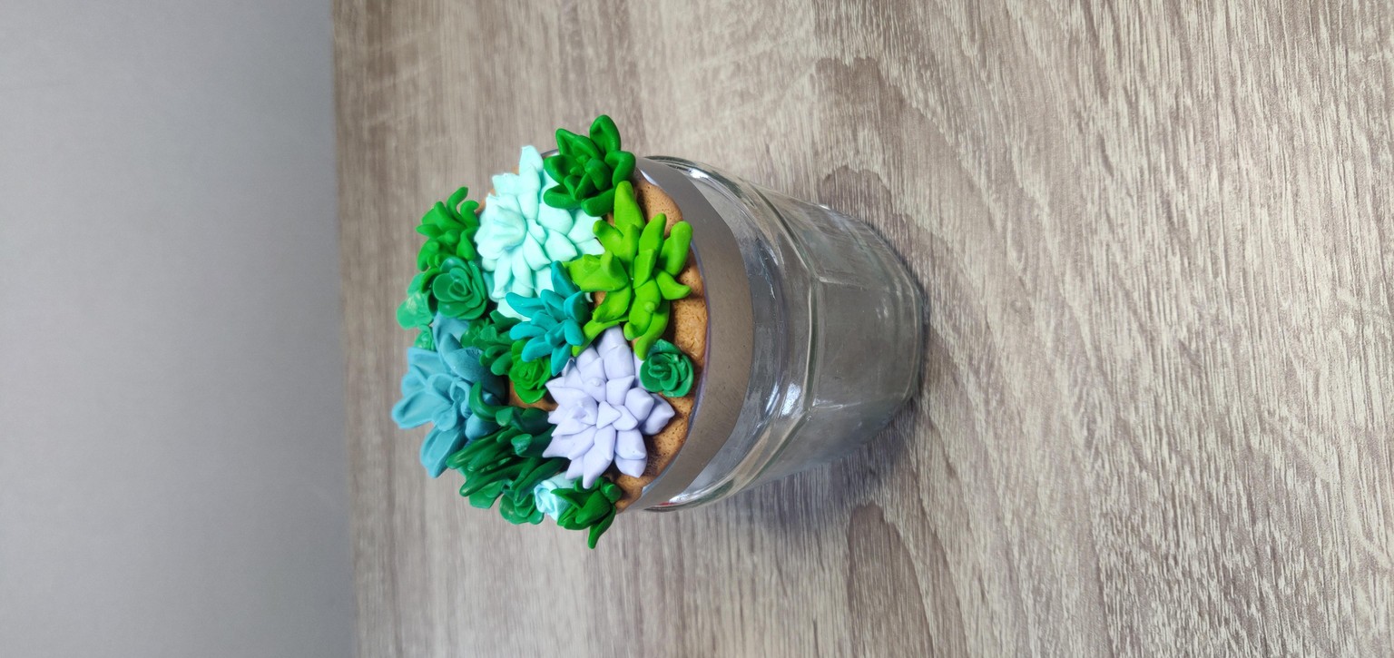 My succulent garden  - image 1 - student project