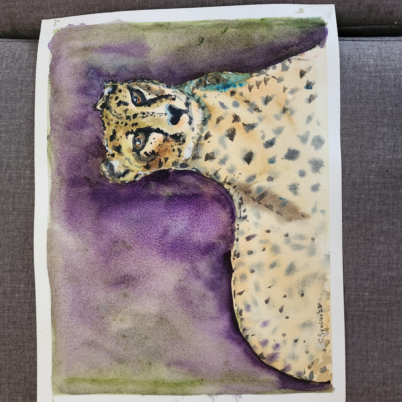 Cheeta - image 1 - student project