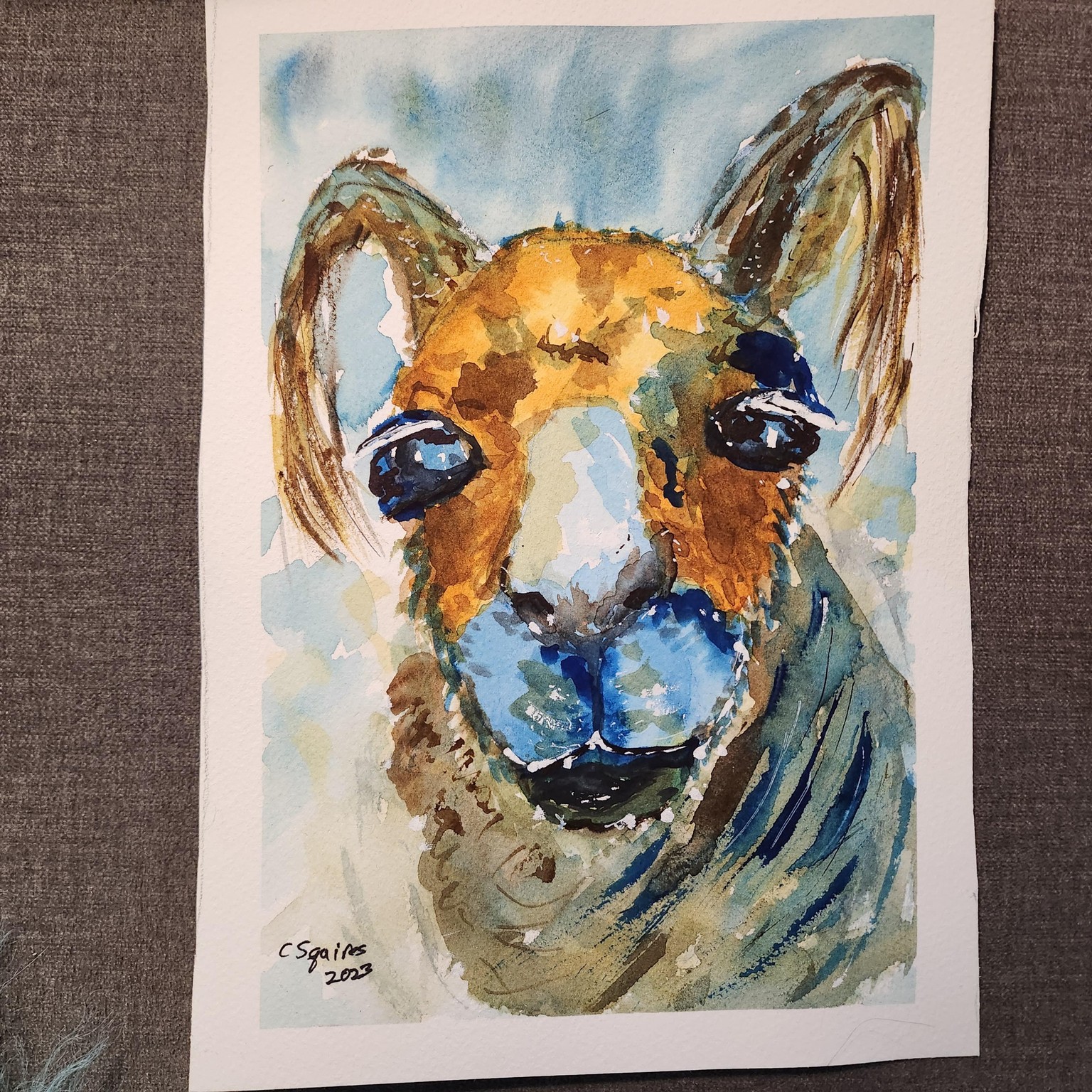Alpaca - image 1 - student project