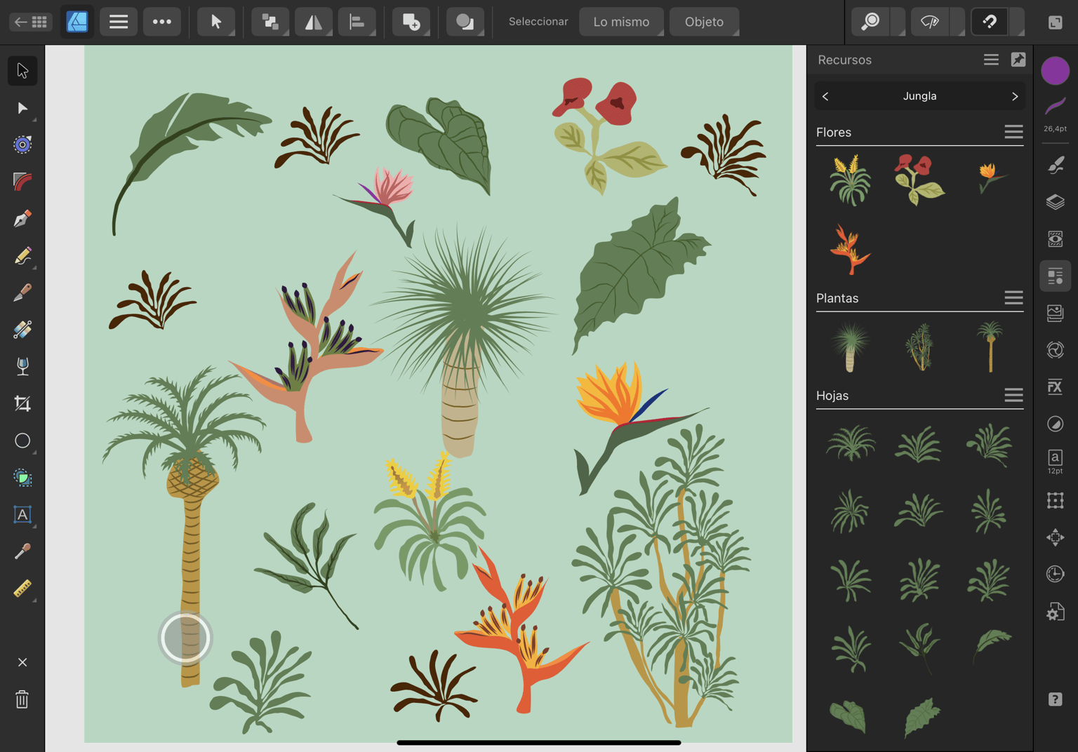 Assets - image 1 - student project