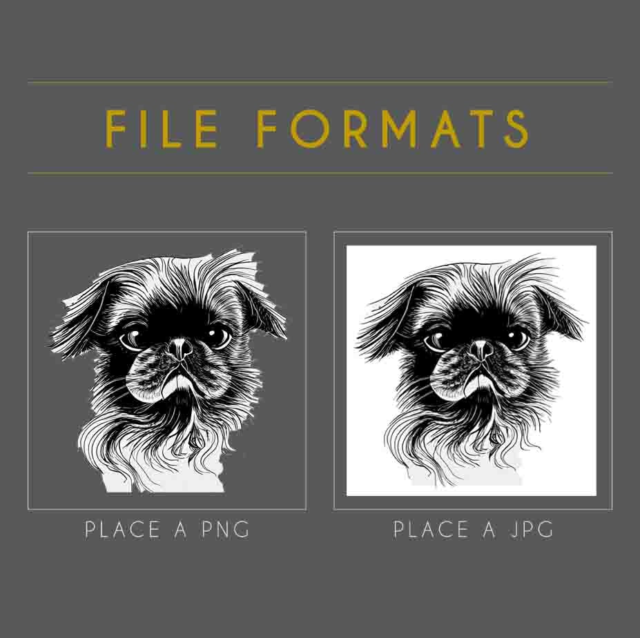 Class Project File Formats - image 1 - student project