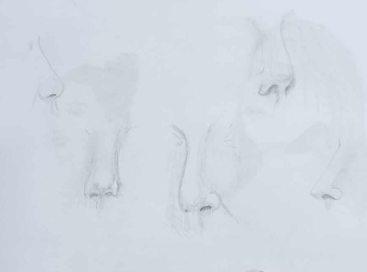 noses - image 1 - student project