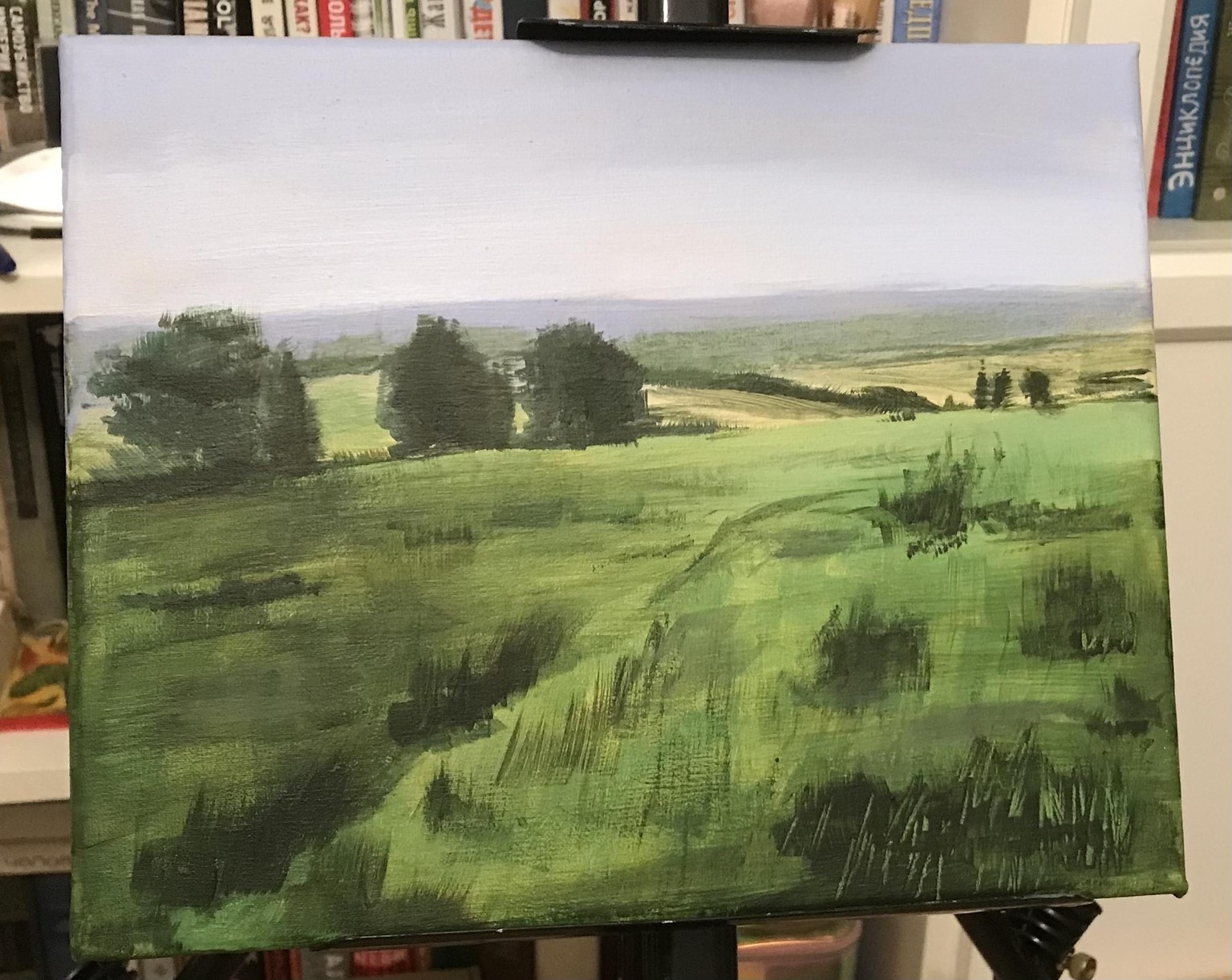 Poppy field - image 1 - student project